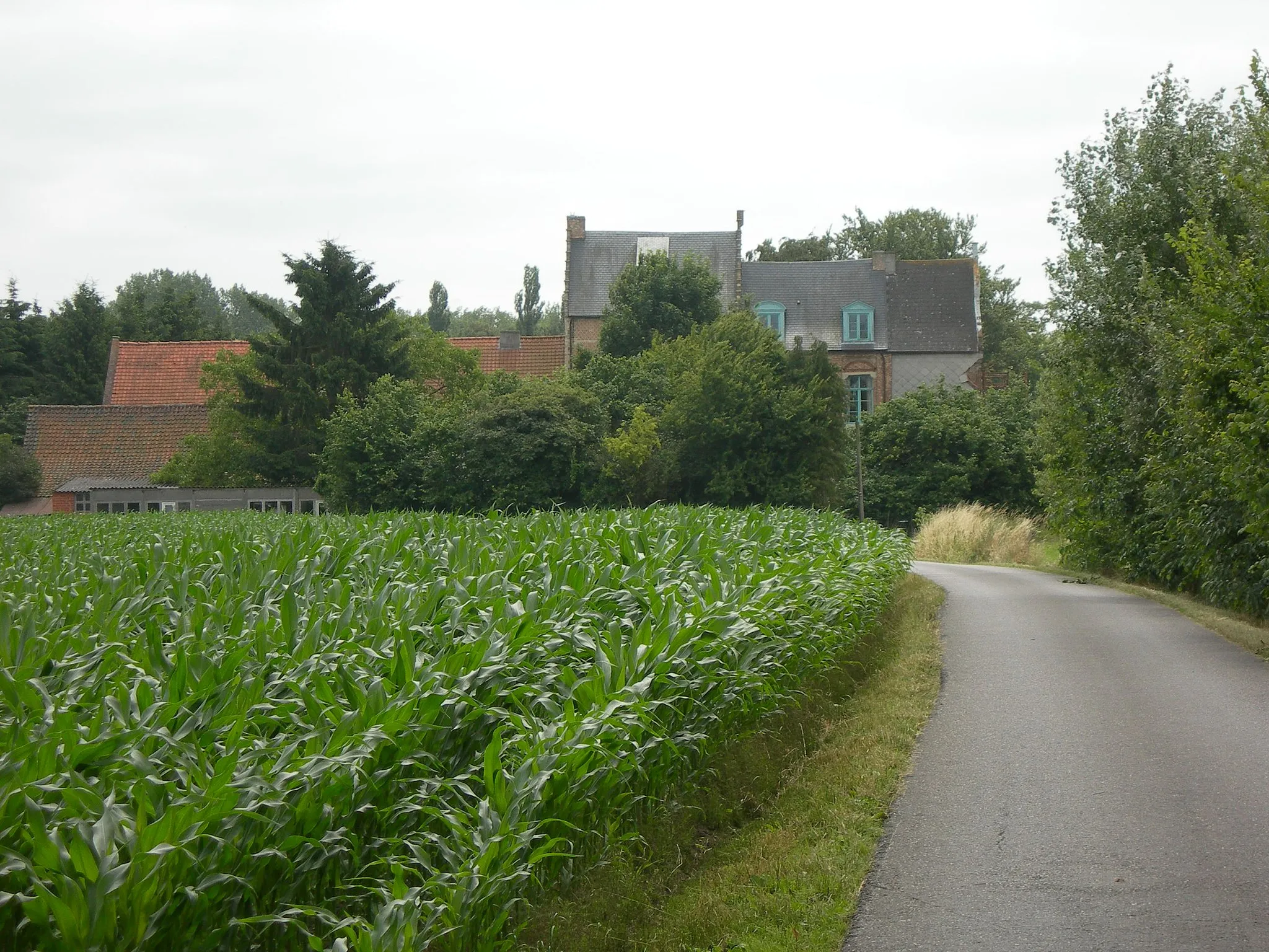 Photo showing: Het jachtslot Berentrode uit de verte, vanop de Uyerenboslaan.