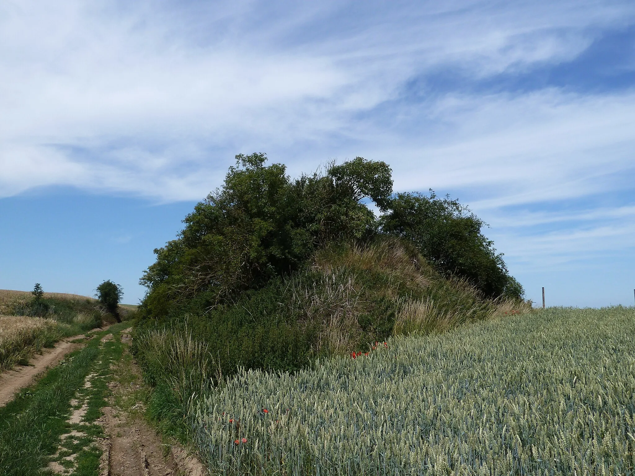 Photo showing: Tumulus de Piétrain, Jodoigne, Belgique