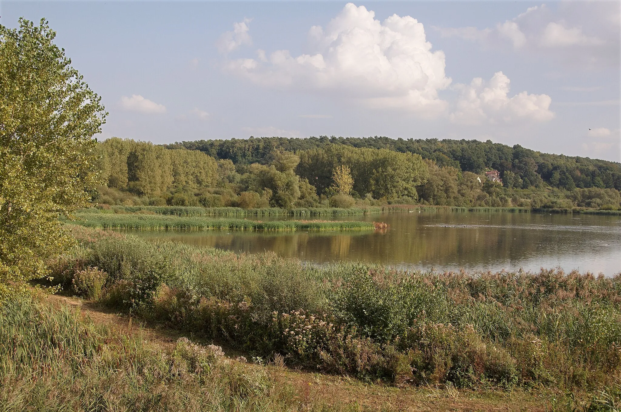 Photo showing: Nature reserve "Het Grootbroek" in Sint-Agatha-Rode, Belgium
