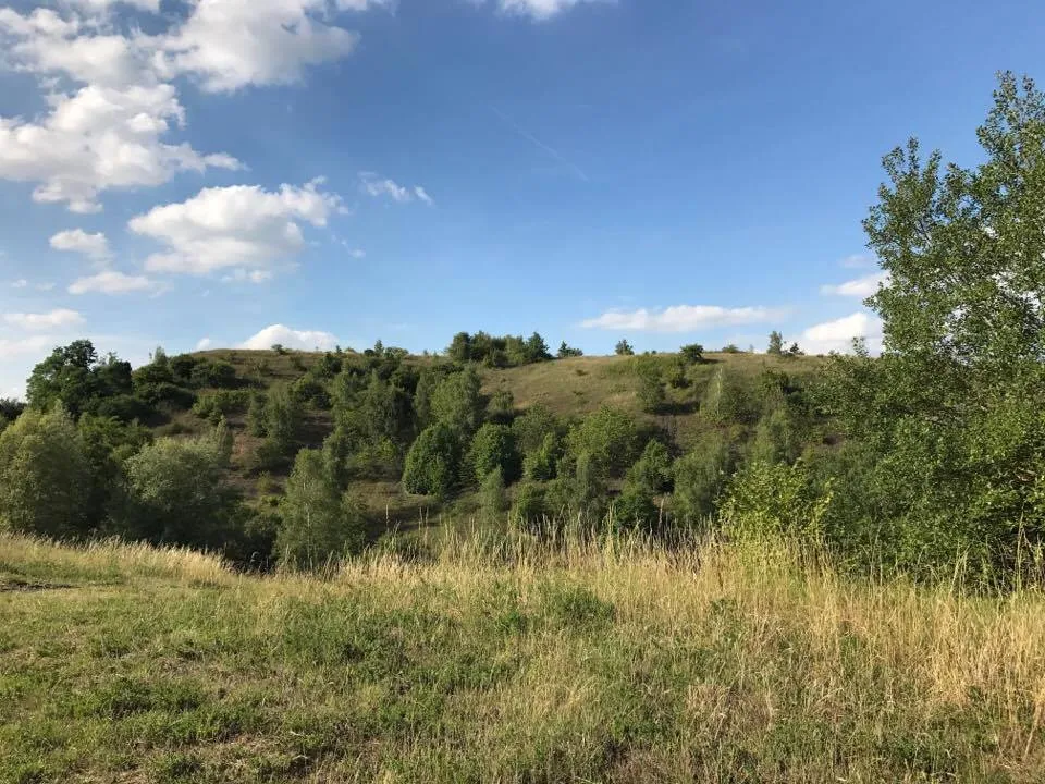 Photo showing: Ancien charbonnage, terril