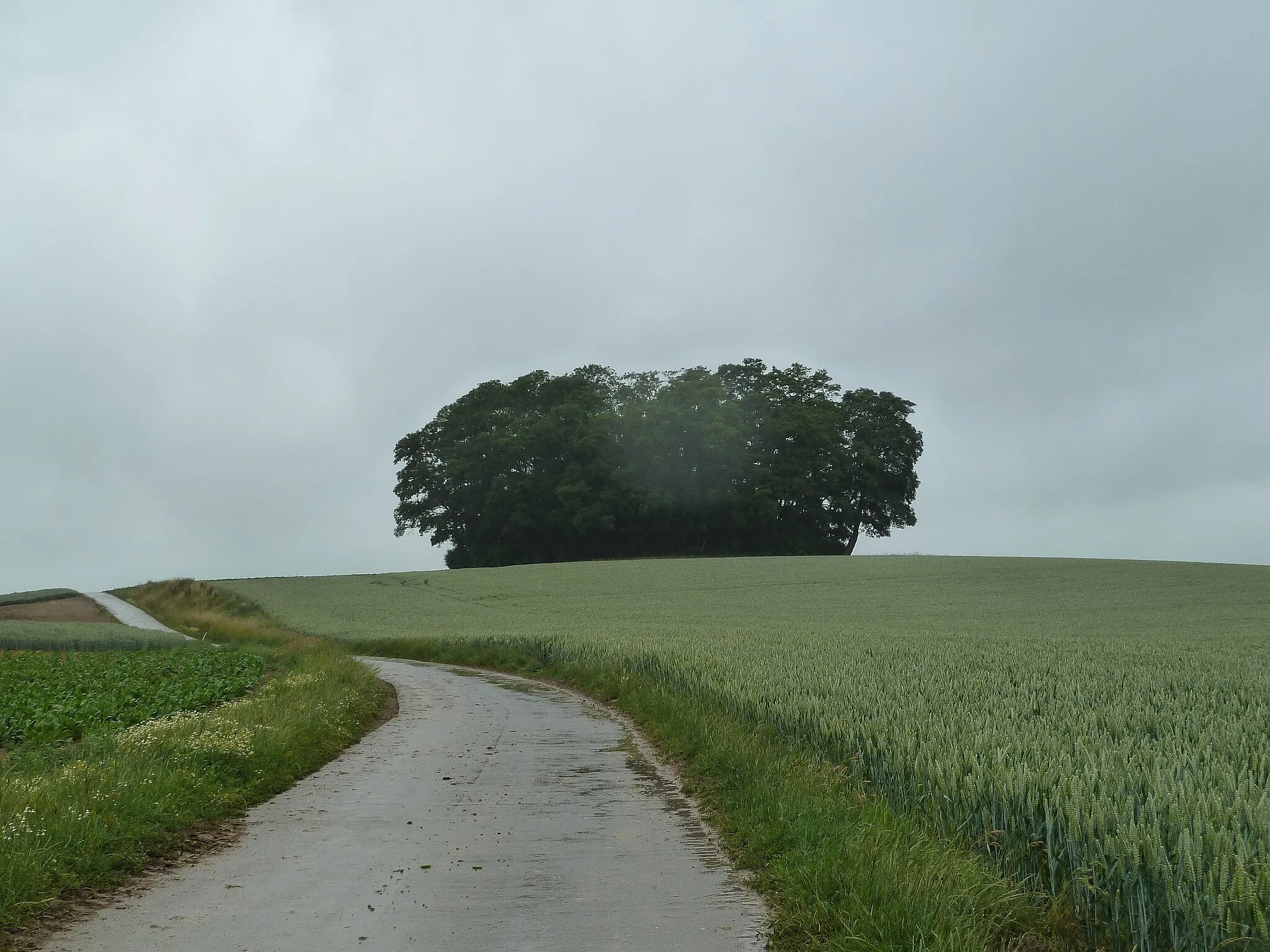 Photo showing: Tumulus d'Hottomont, Ramillies, Belgique