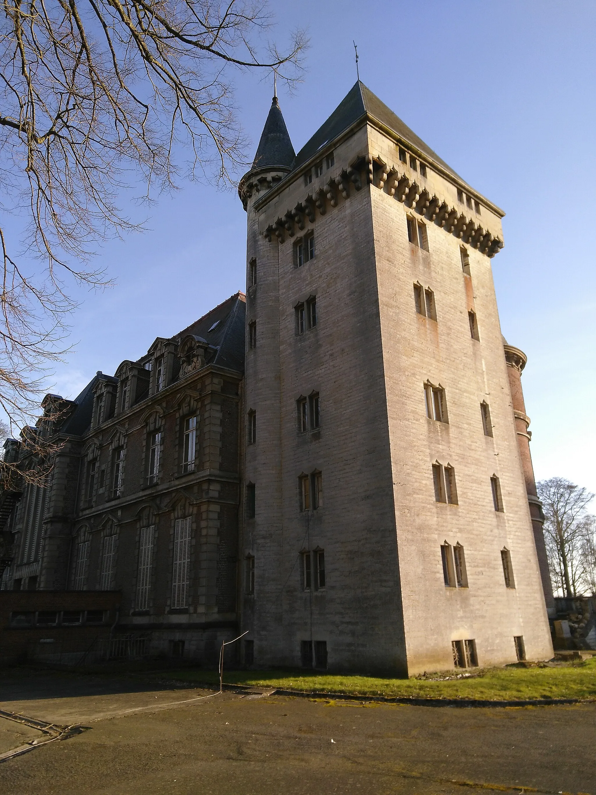 Photo showing: Donjon du château de Dongelberg - vue de l'arrière
