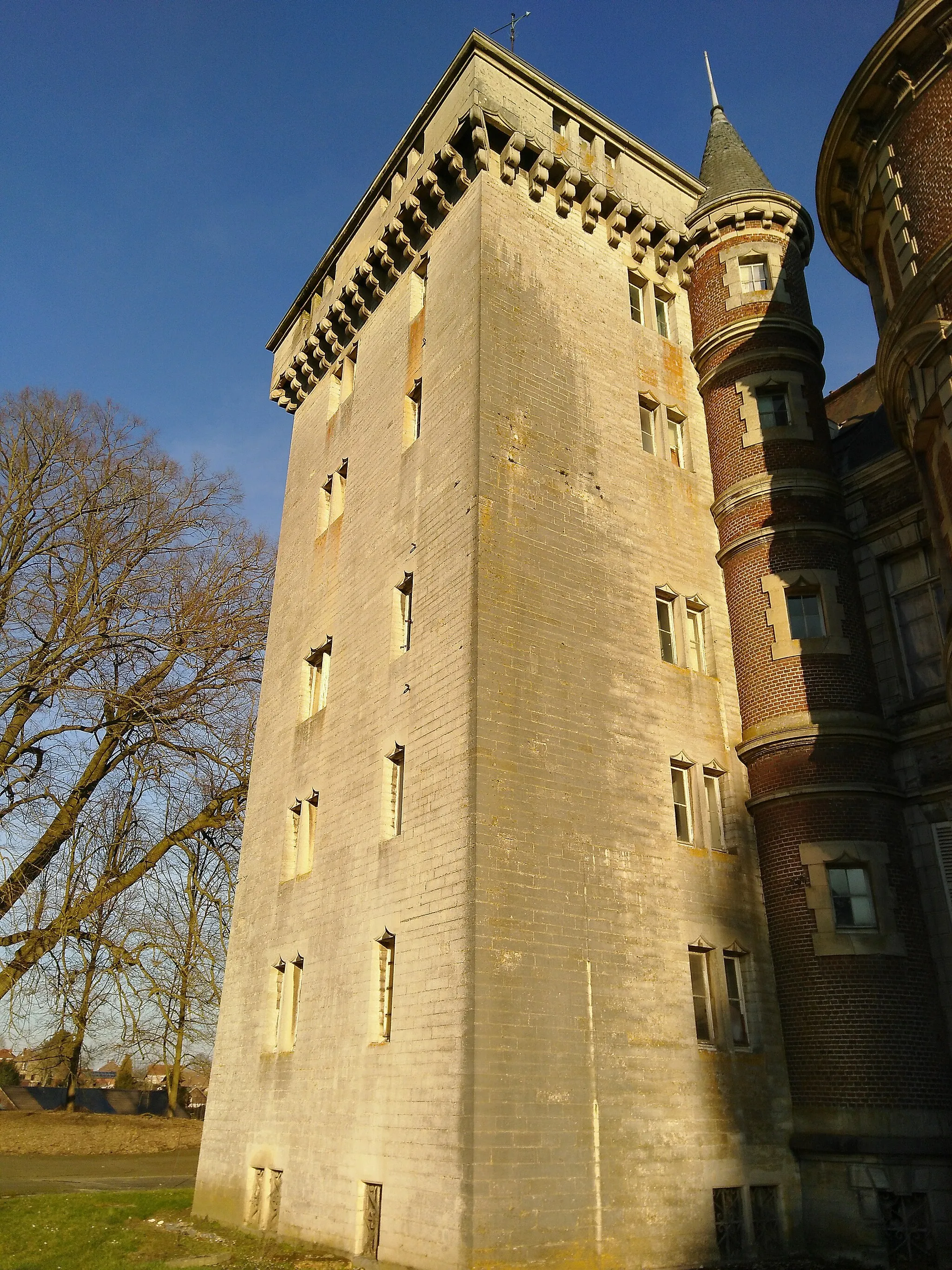 Photo showing: Donjon du château de Dongelberg - vue avant