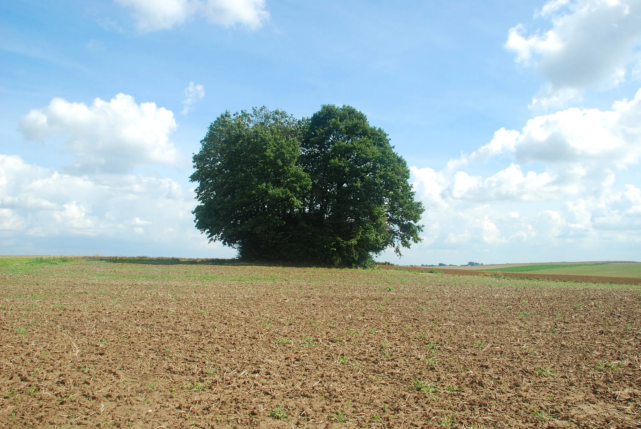 Photo showing: Belgique - Walhain - Tourinnes-Saint-Lambert - Tumuli de Libersart