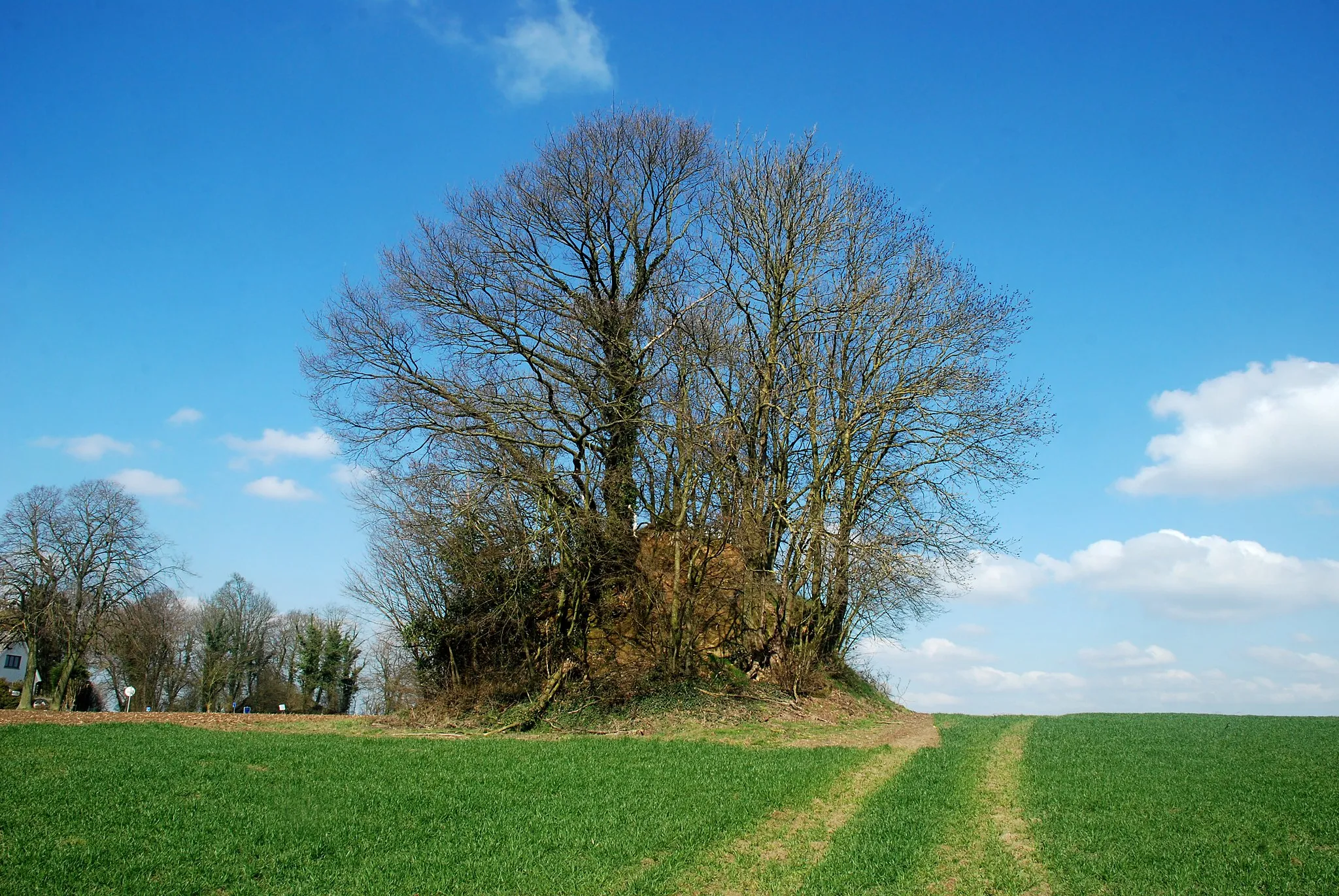 Photo showing: Belgique - Walhain - Tourinnes-Saint-Lambert - Tumuli de Libersart