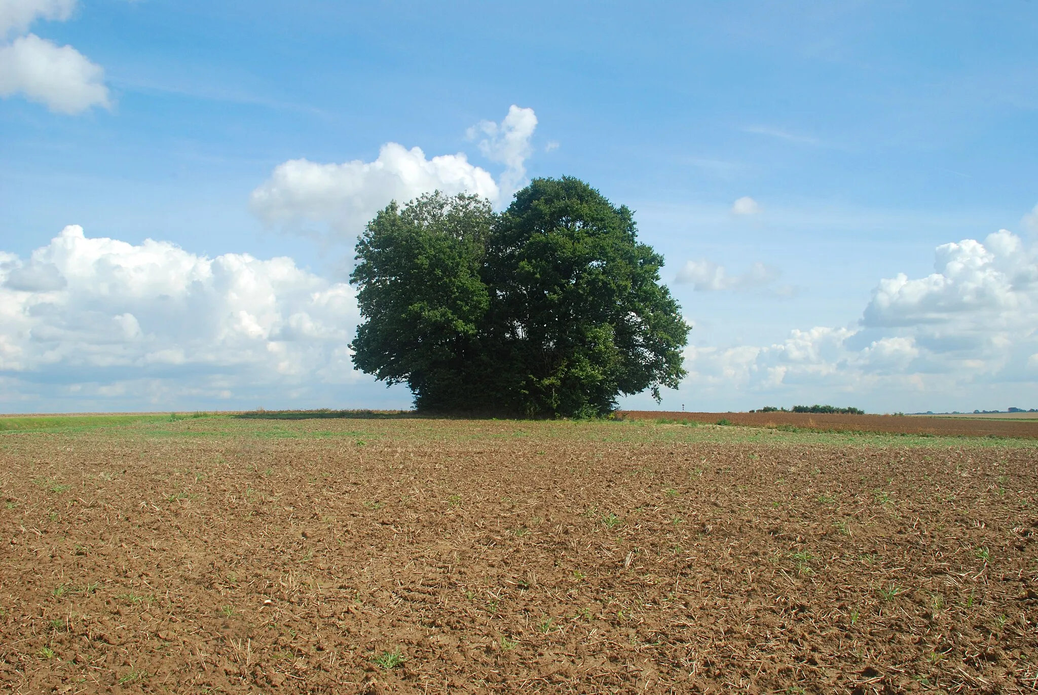 Photo showing: Belgique - Walhain - Tourinnes-Saint-Lambert - Tumuli de Libersart