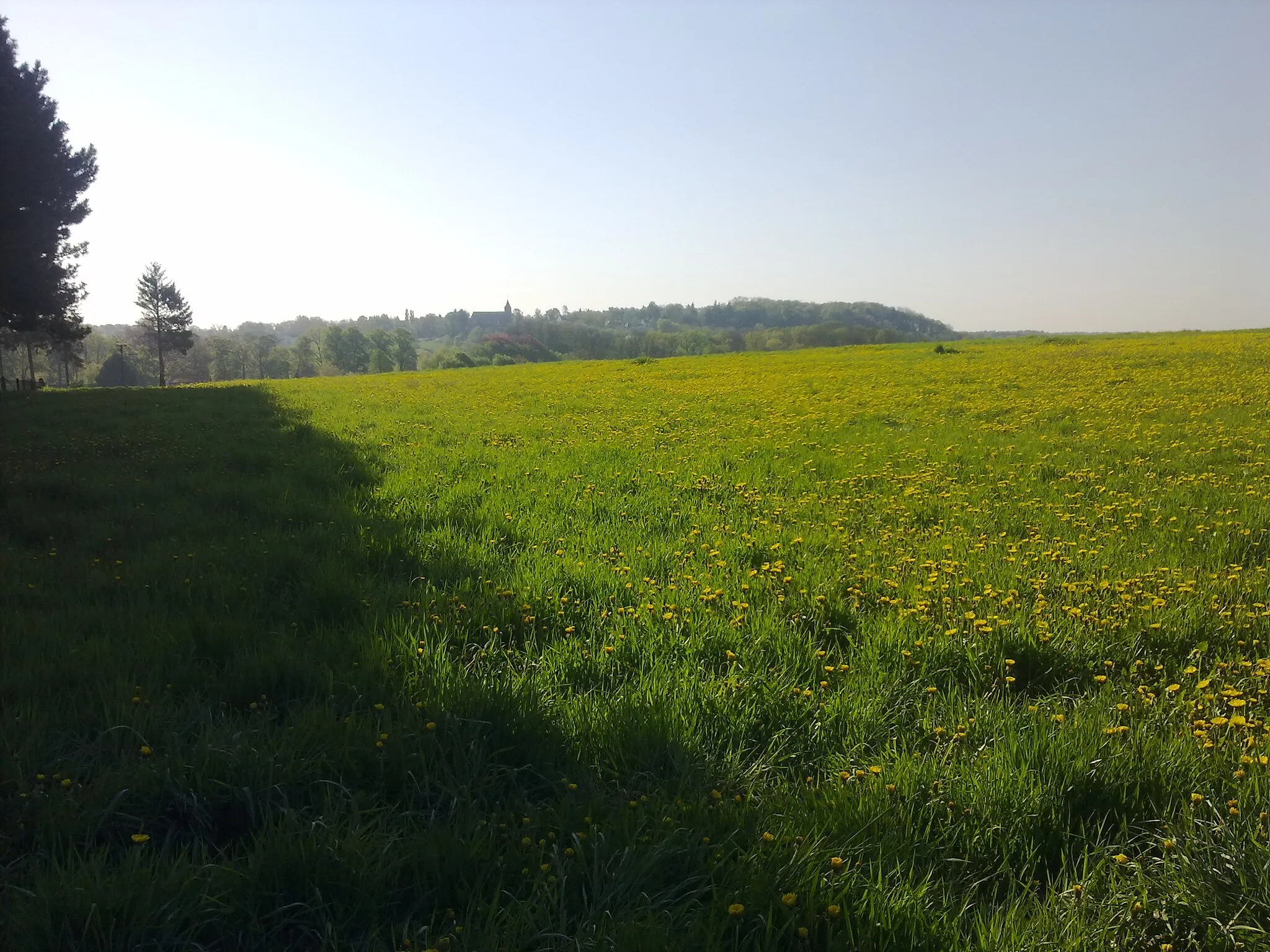 Photo showing: Paysage champêtre à Grez-Doiceau, vu depuis le Champ de l'Hospice.  Sur la gauche, des conifères non-identifiés.  À l'avant-plan, un champ généreusement garni de pissenlit.  À l'arrière, sur une hauteur boisée, l'Église Saint-Martin de Biez.  Note : Compte tenu du temps écoulé depuis la prise de la photo, une vérification de la description pourrait s'avérer utile.