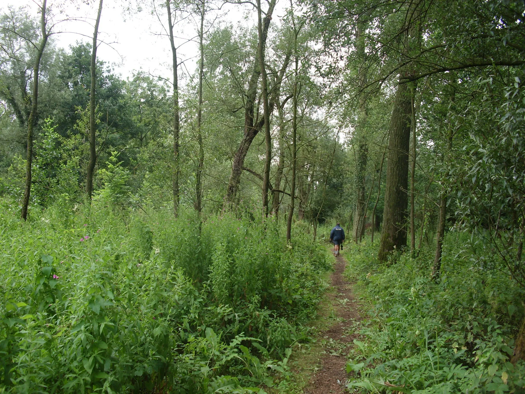 Photo showing: Den Dotter - Heldergem - Oost-Vlaanderen - België