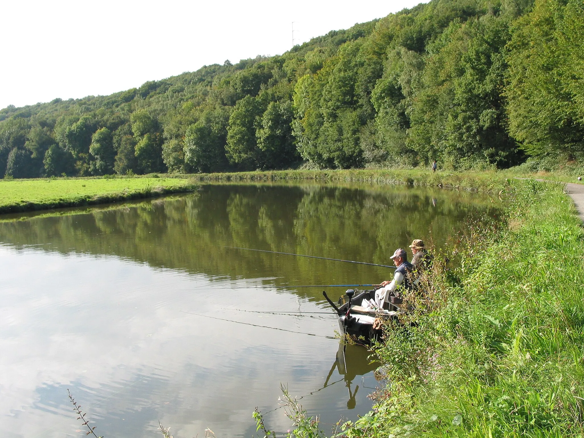 Photo showing: Leernes (Belgium),  the Sambre river and the domanial wood.