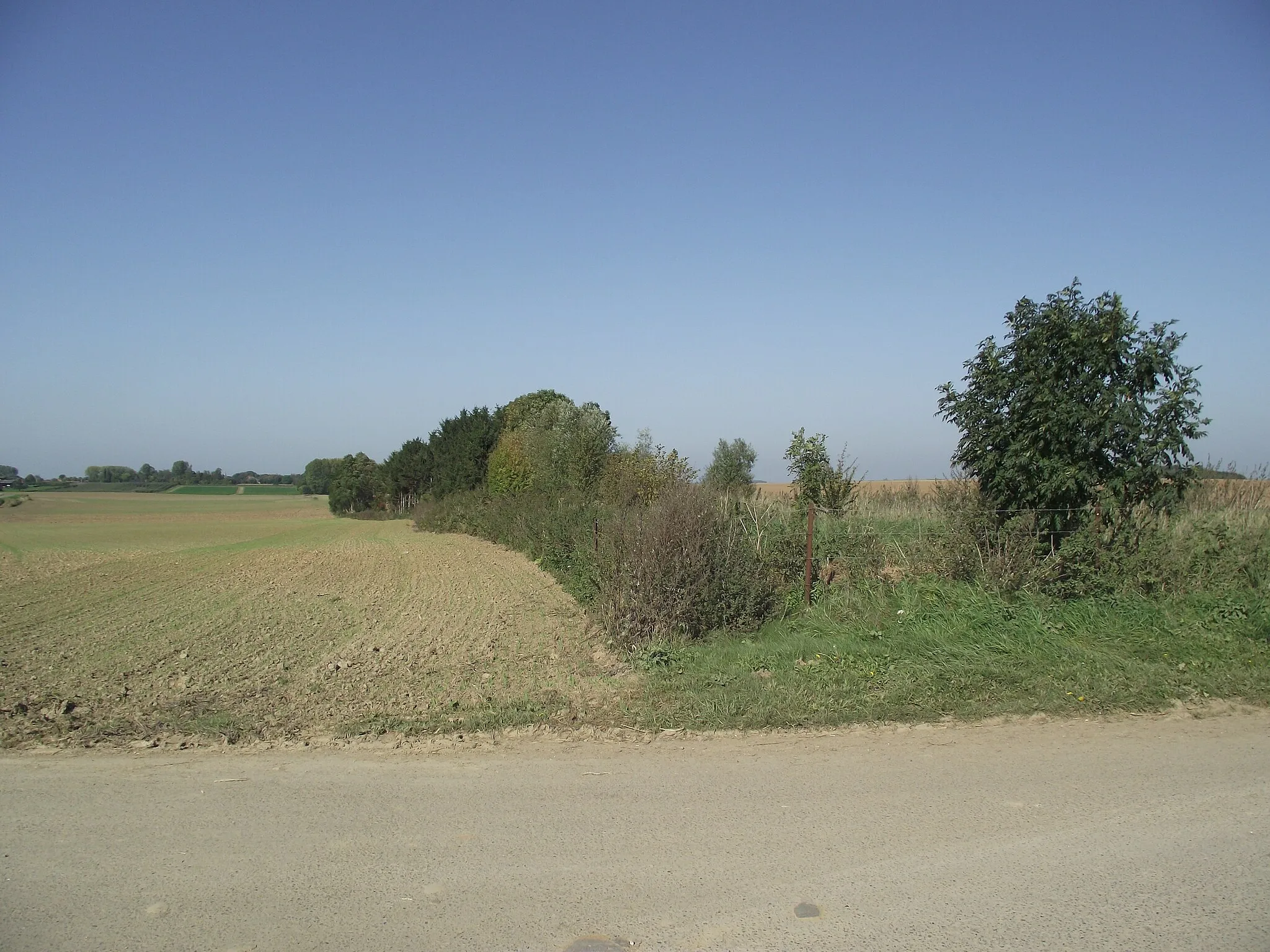 Photo showing: Vicinal railway trace in the direction of Ambresin. It follows the plowed field.