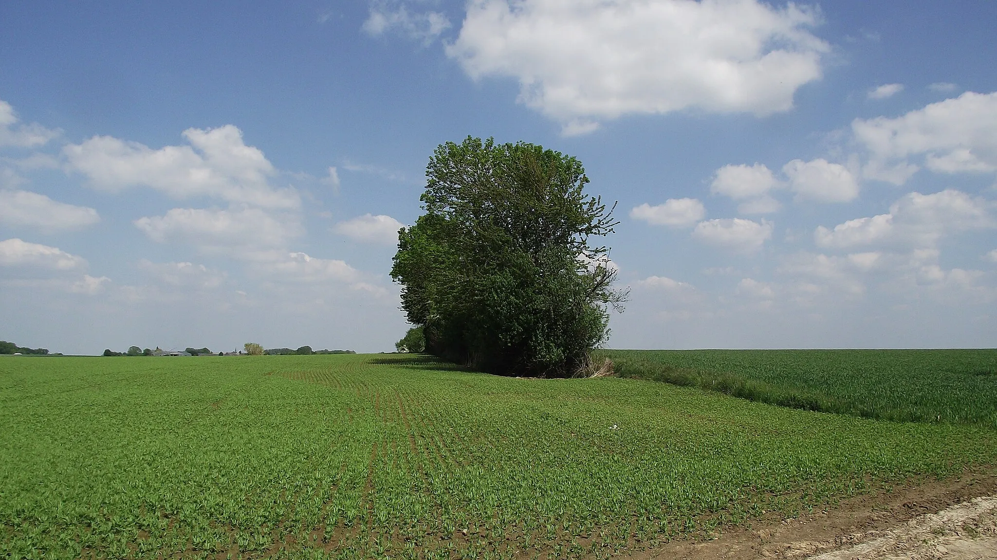 Photo showing: Ex-buurtspoorwegroute Sart-Risbart - Gembloux in het gebied van de gemeente Chaumont-Gistoux.