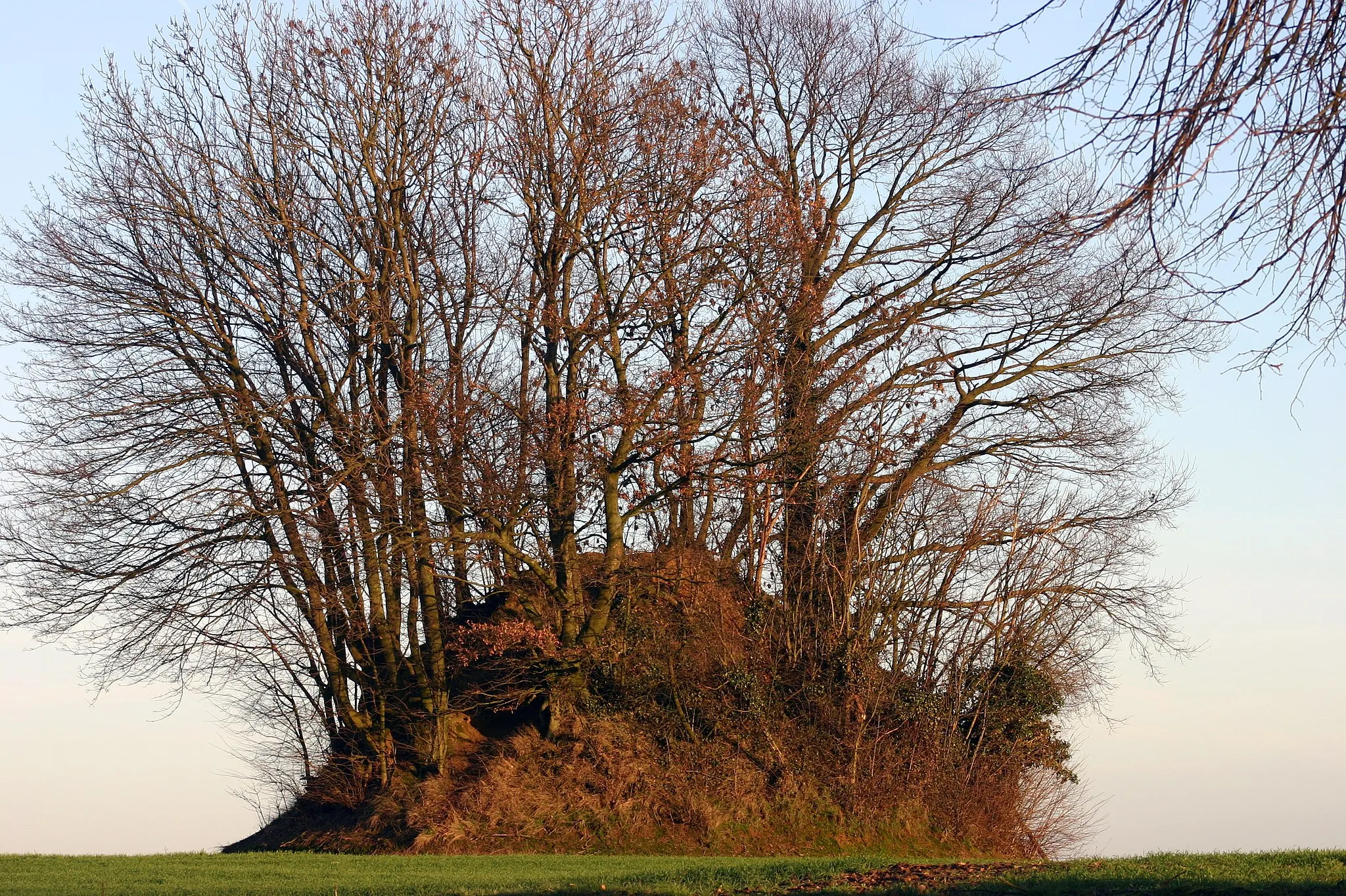 Photo showing: This is a photo of a monument in Wallonia, number: