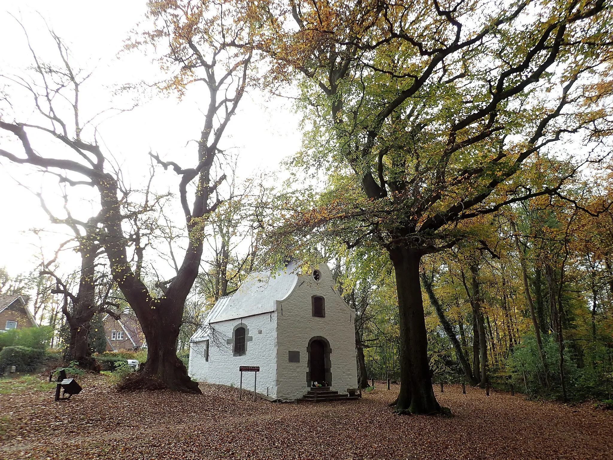 Photo showing: This is a photo of a monument in Wallonia, number: