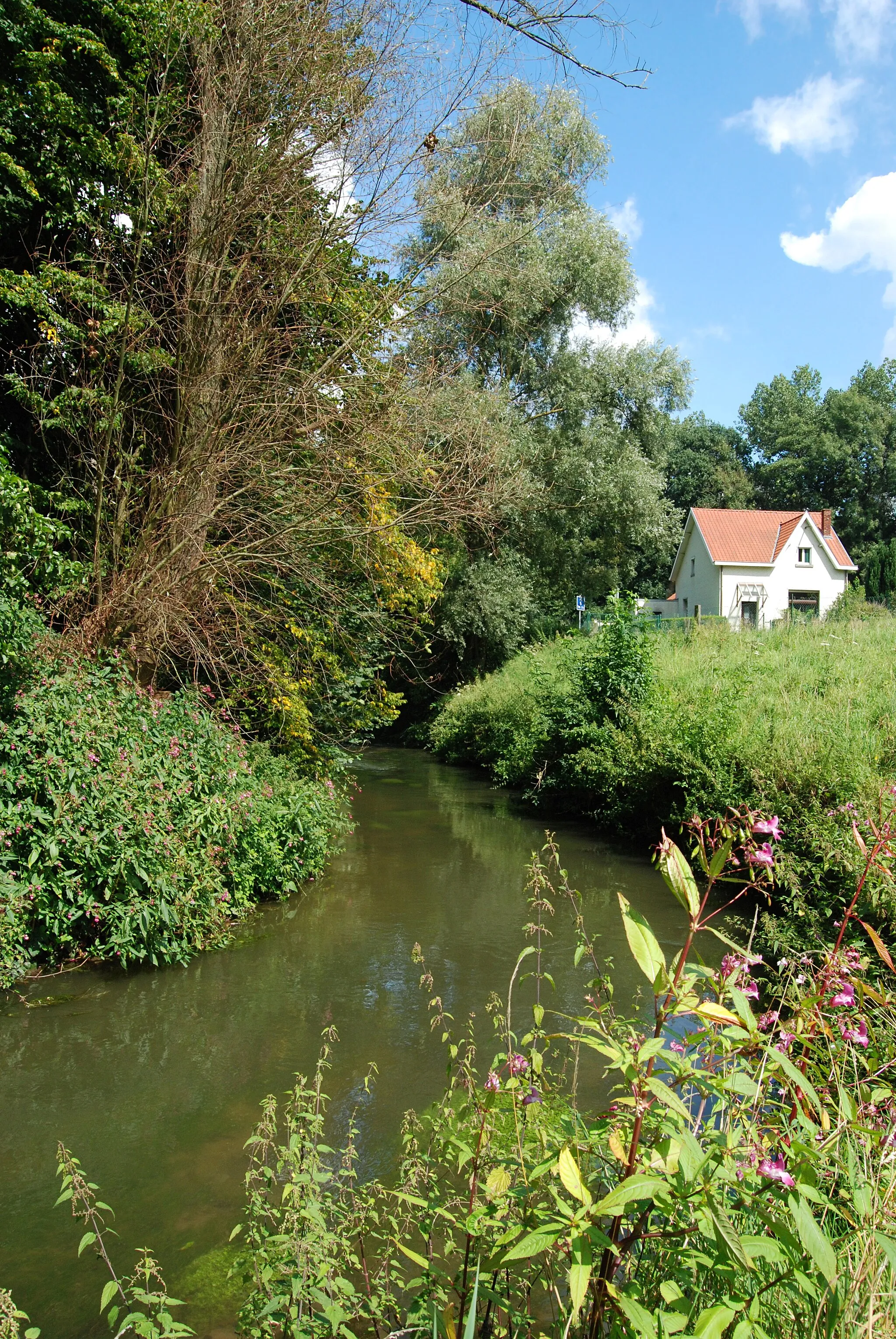 Photo showing: Belgique - Brabant wallon - Ottignies - la Dyle à la sortie d'Ottignies