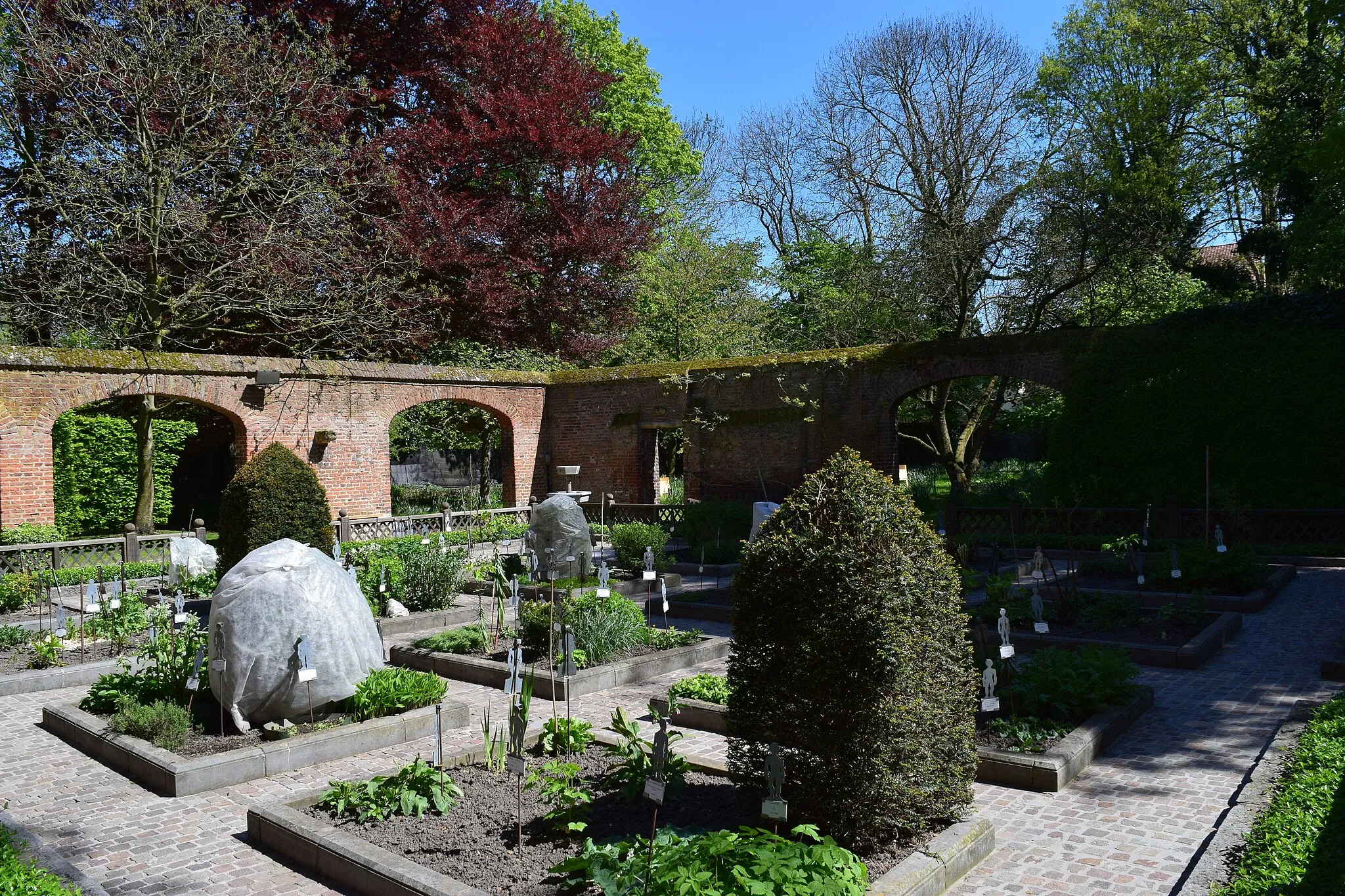 Photo showing: Gezondheidstuin met geometrische vormen achter het Erasmushuis in Anderlecht