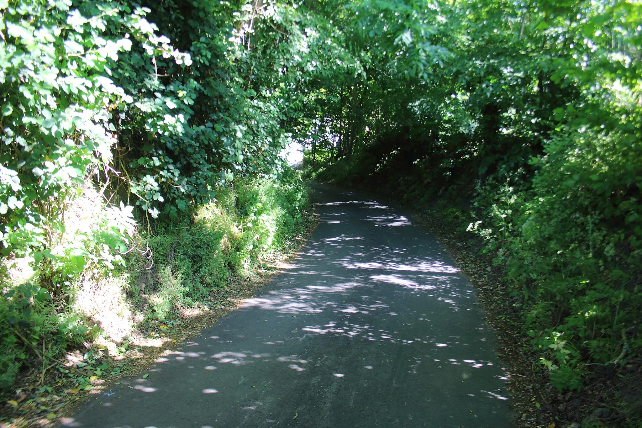 Photo showing: Steenbeek, Schorisse, Maarkedal, Vlaanderen, België