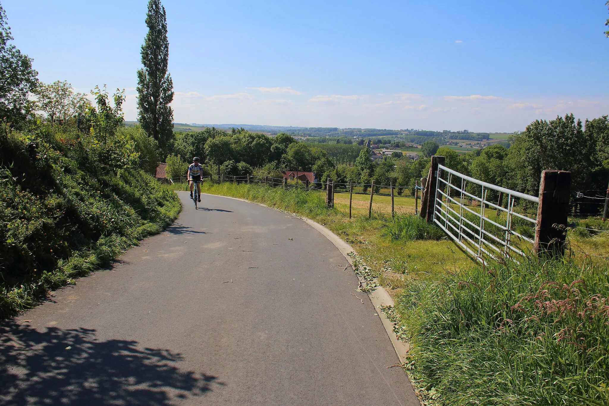 Photo showing: Foreest, Horebeke, Vlaanderen, België