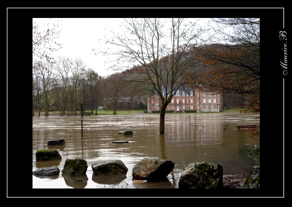 Photo showing: En bordure de la Meuse, dans un grand parc boisé, rougeoie le château de Dave ou
château de Fernan-Nunez.Au 16°s. La seigneurie de Dave, nommée « vicomté de Dave » échoit par mariage  au duc de Barbençon. Au 17°s,  il devient propriété des Ligne et d’Arenberg, et le domaine dans son  intégralité, malgré la révolution française,  par succession féminine revient à Carlos Guttierez de Los Rios, duc de Fernan Nunez. 
La famille s’est maintenue à Dave jusqu’à nos jours y faisant de fréquants séjours. 
Cette construction du 17e siècle, de briques rouges encadrées de pierre bleue, est remaniée au 18e et amplifiée au 19e siècle.

Le château remplace une forteresse médiévale construite auparavant sur les hauteurs.