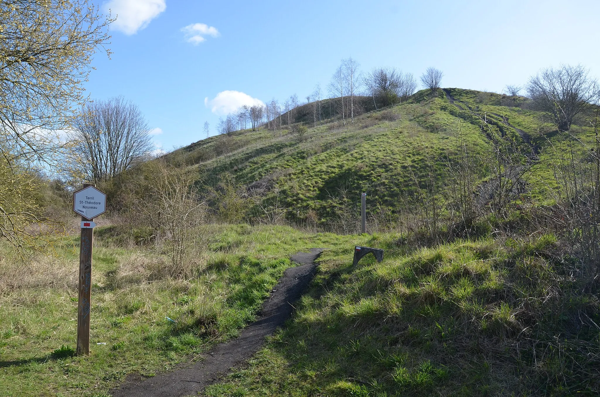 Photo showing: Dampremy (Charleroi-Belgique)- Terril Saint-Théodore est, dit « le Nouveau ».