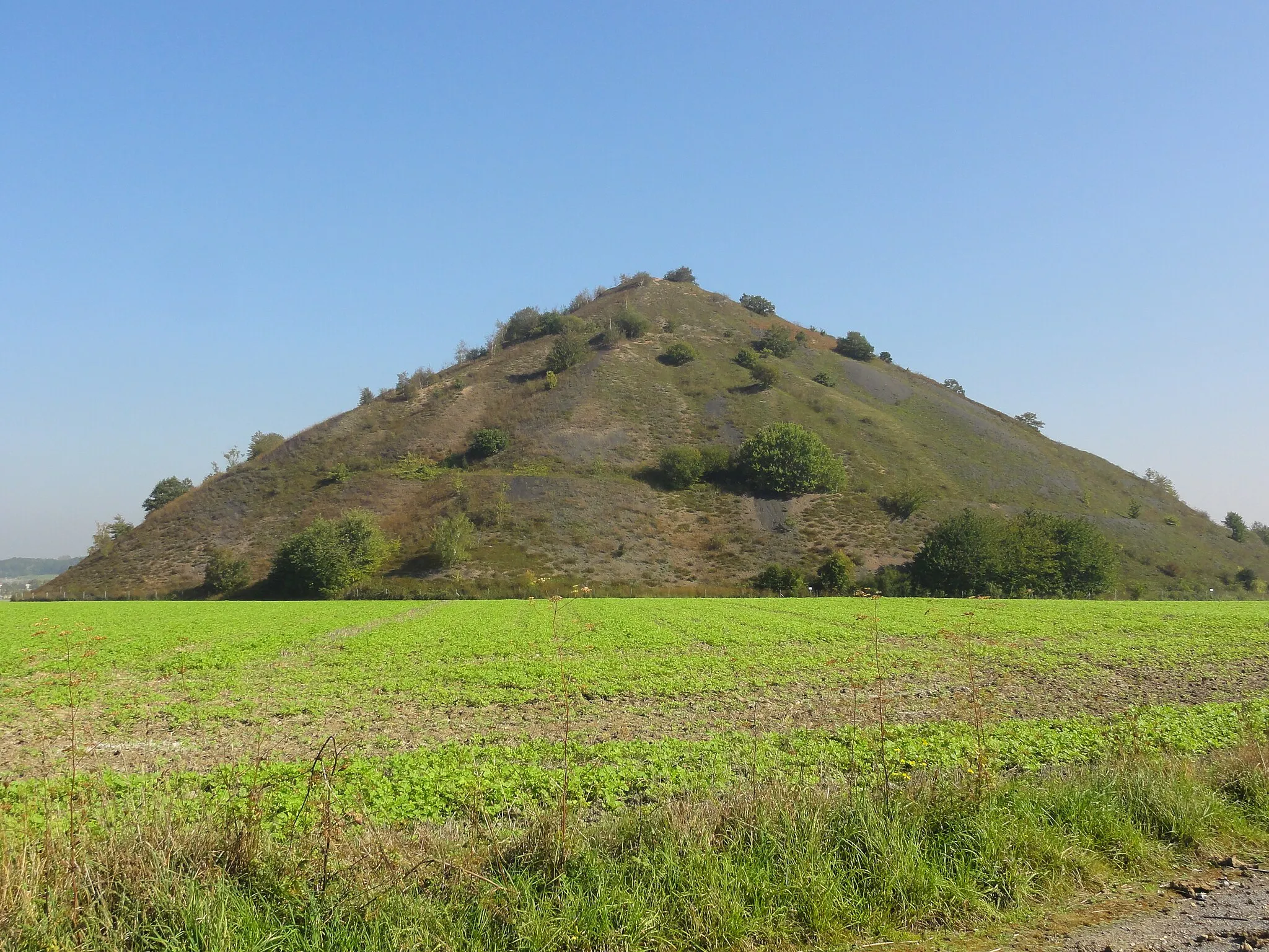 Photo showing: Terril n° 10 dit 3 de Bruay Ouest, Fosse n° 3 - 3 bis - 3 ter de la Compagnie des mines de Bruay, Bruay-la-Buissière, Pas-de-Calais, Nord-Pas-de-Calais, France.