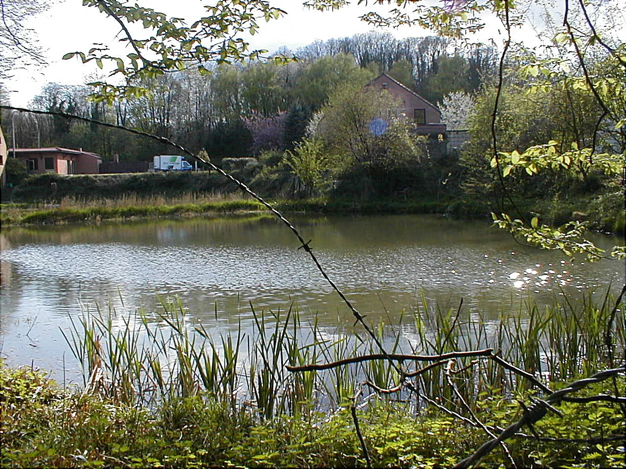 Photo showing: Etang de Dour