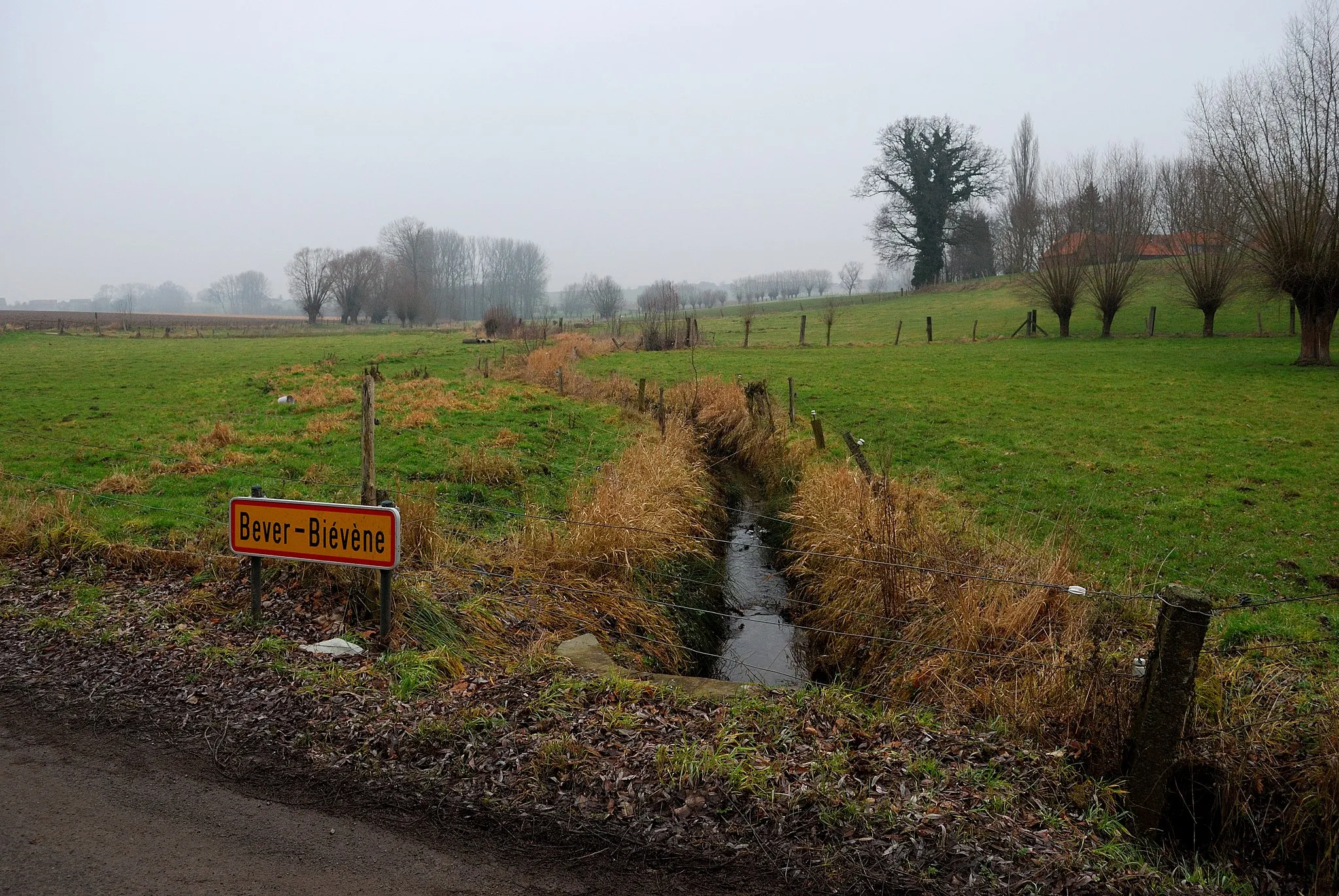 Photo showing: Eisbroekbeek creek on the border of the Belgian communes of Bever and Herne (subcommune of Sint-Pieters-Kapelle). Nikon D60 f=18mm f/5.6 at 1/125s ISO 400. Processed using Nikon ViewNX 1.5.2.