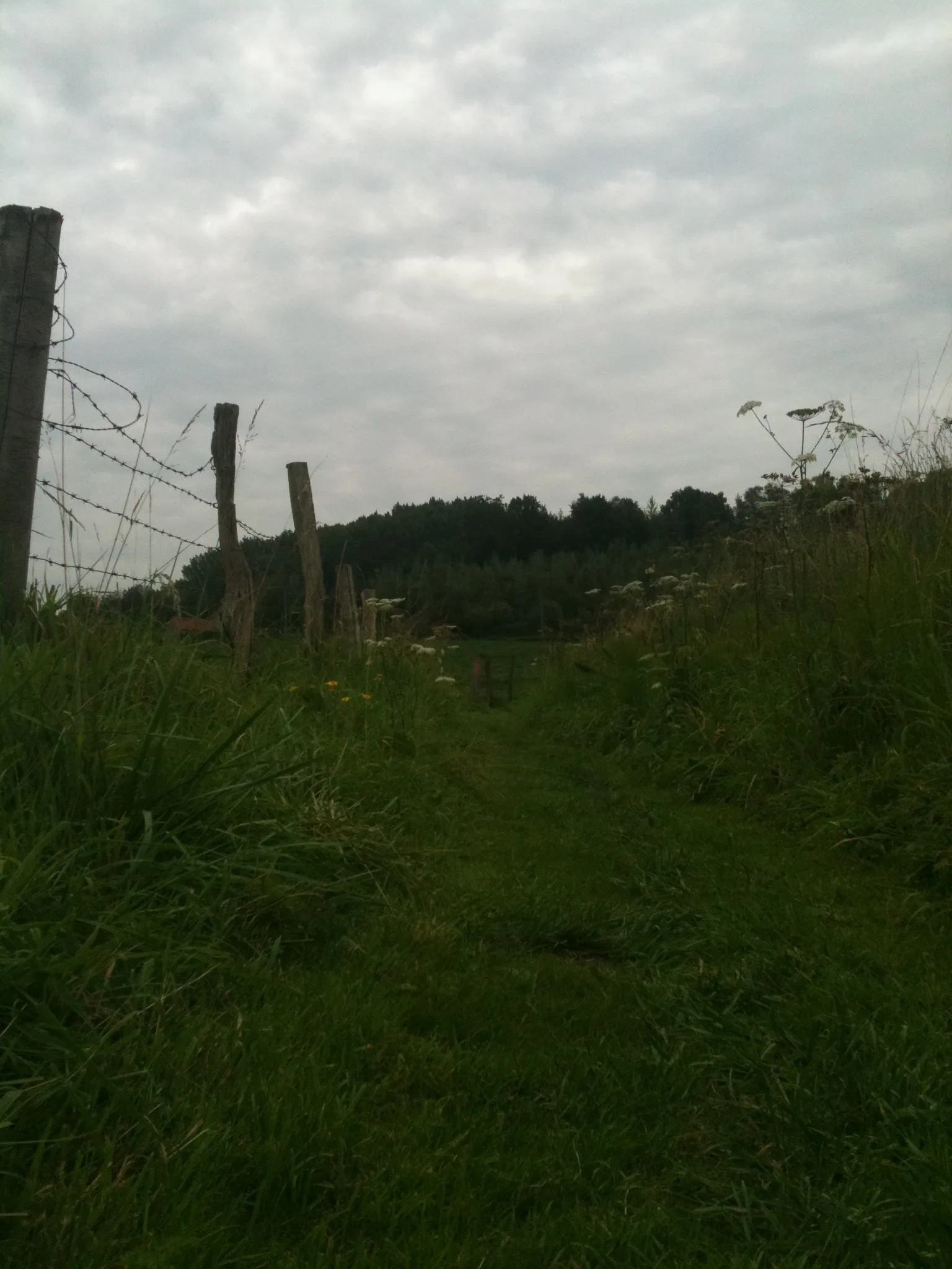 Photo showing: sentier a ellignies