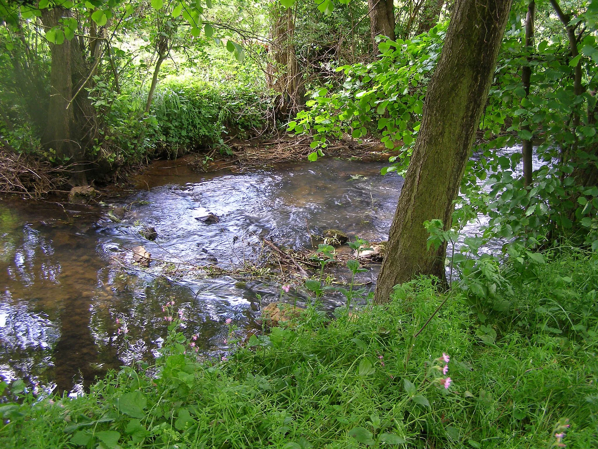 Photo showing: L'Hogneau.