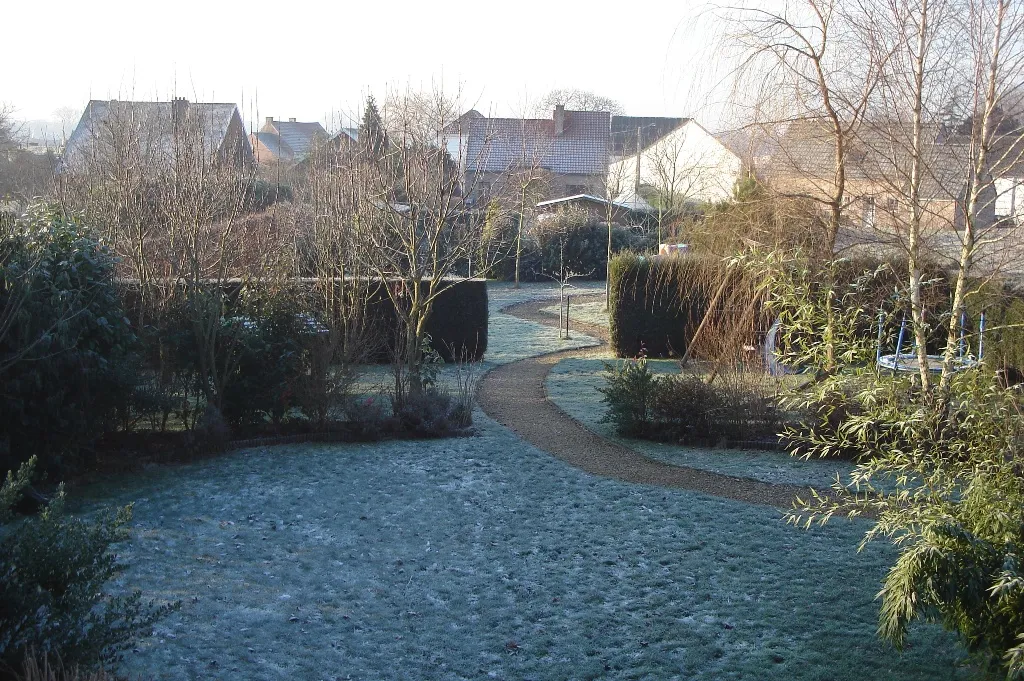 Photo showing: Frozen garden in Luttre, Belgium