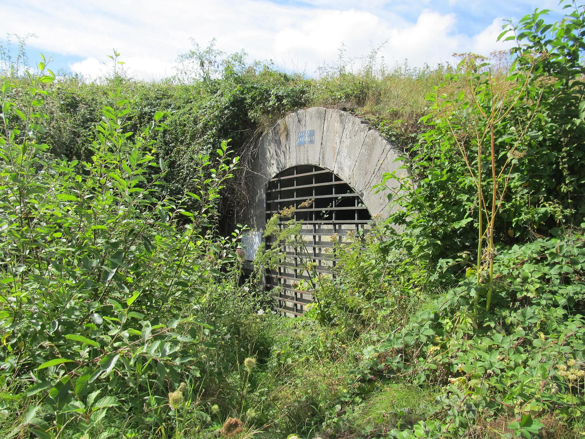 Photo showing: Southern portal of the La Bête Refaite tunnel, on a now abandoned section of the first canal from Charleroi to Brussels.