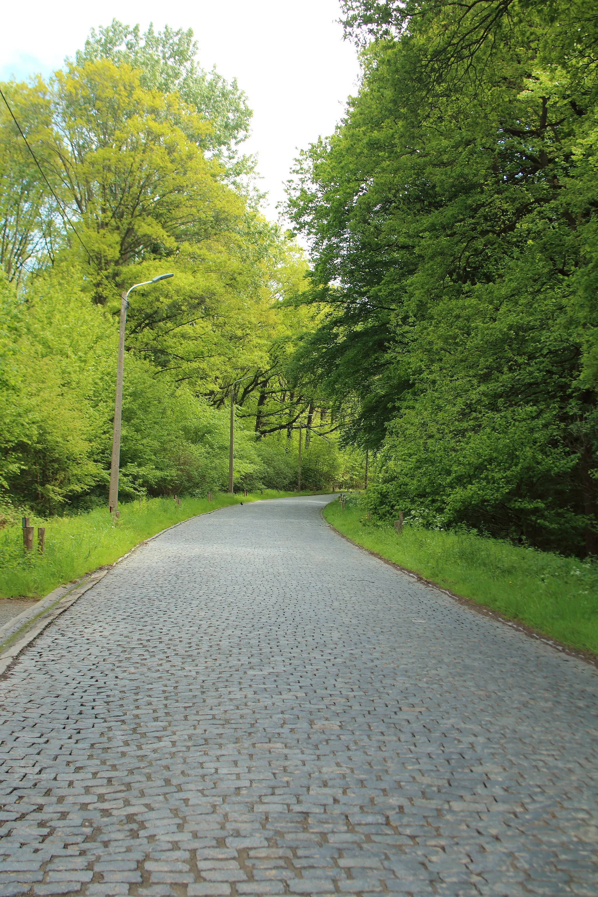 Photo showing: Bosberg, Geraardsbergen, Vlaanderen, België