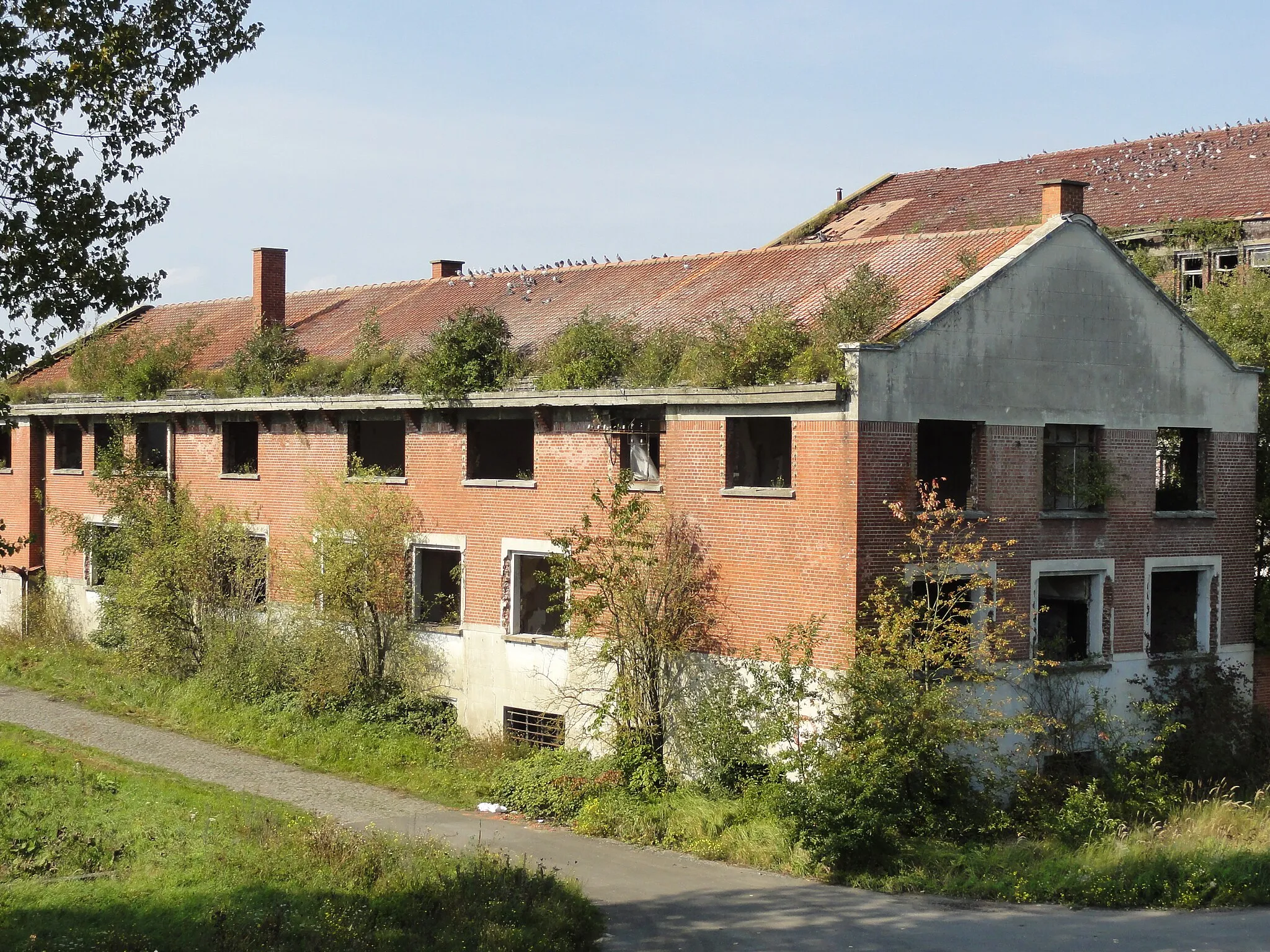 Photo showing: Le Charbonnage des Sartys de la Société Anonyme des Charbonnages d’Hensies-Pommerœul était un charbonnage constitué de deux puits situé à Hensies, Belgique.