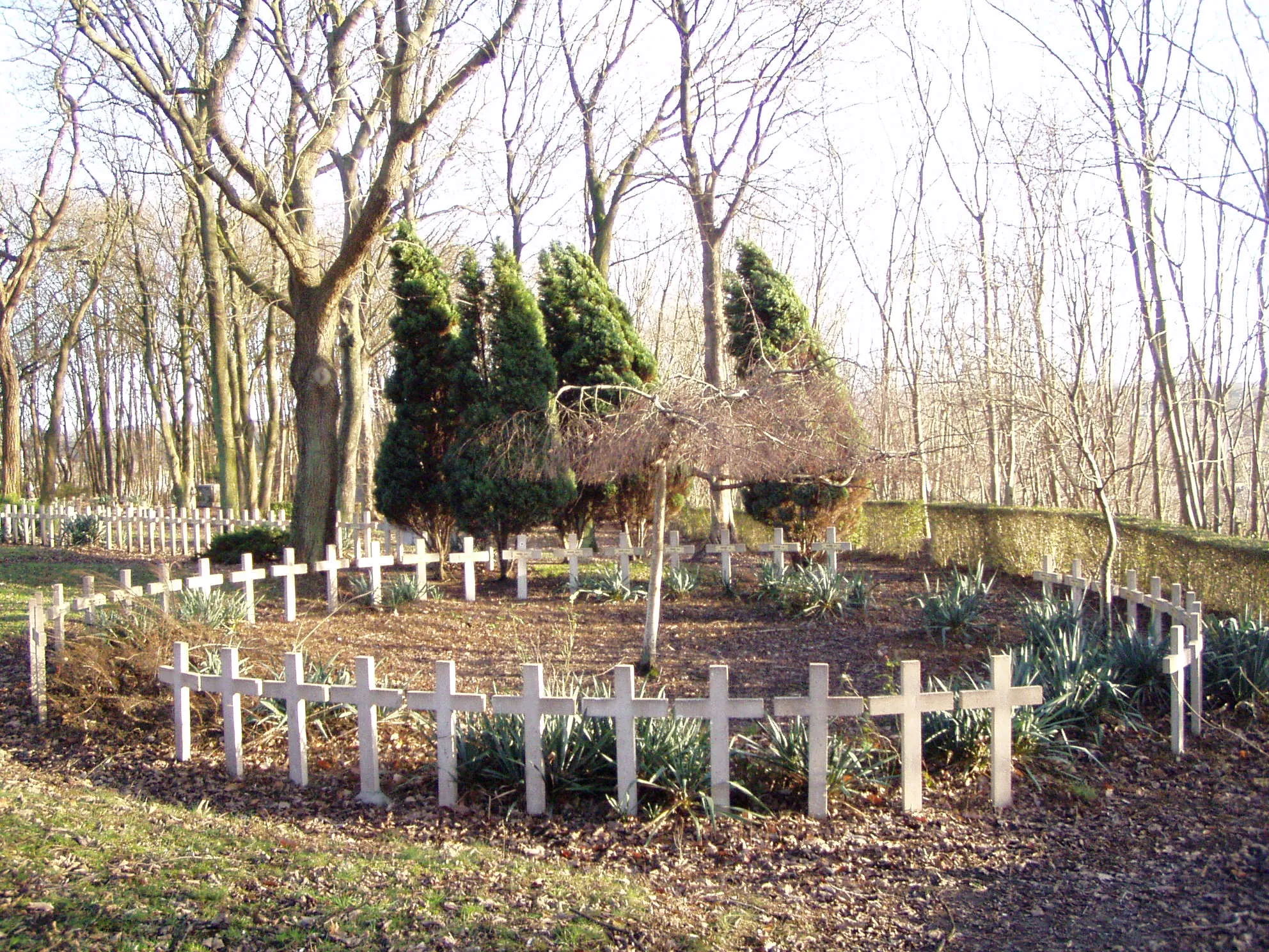 Photo showing: Croix dans le cimetière français à Auvelais
