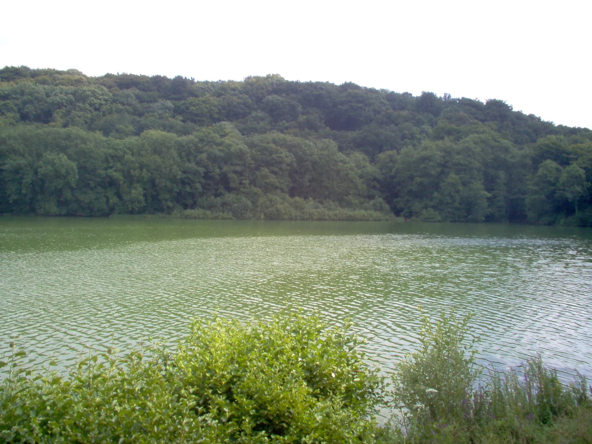 Photo showing: Het meer van Virelles, Virelles, Henegouwen