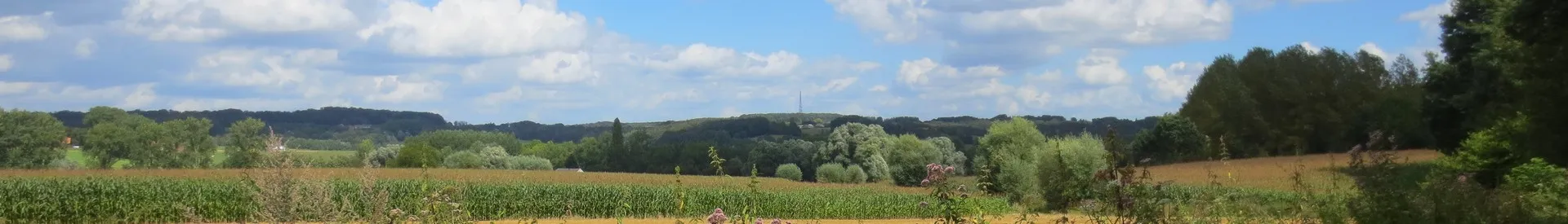 Photo showing: Vue panoramique d'Ellezelles