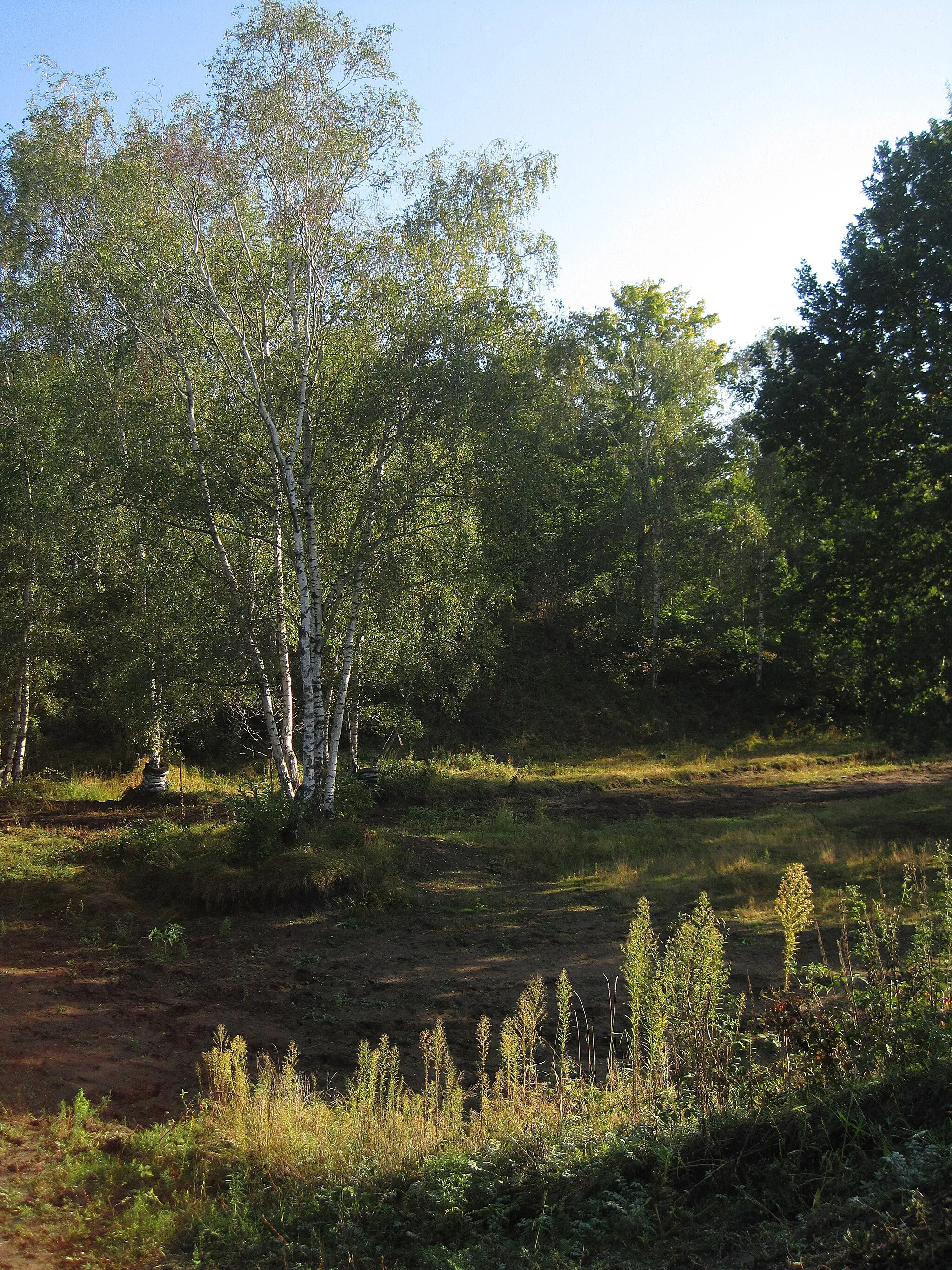 Photo showing: Ghlin (Belgium),  the "Bois Brûlé" site.