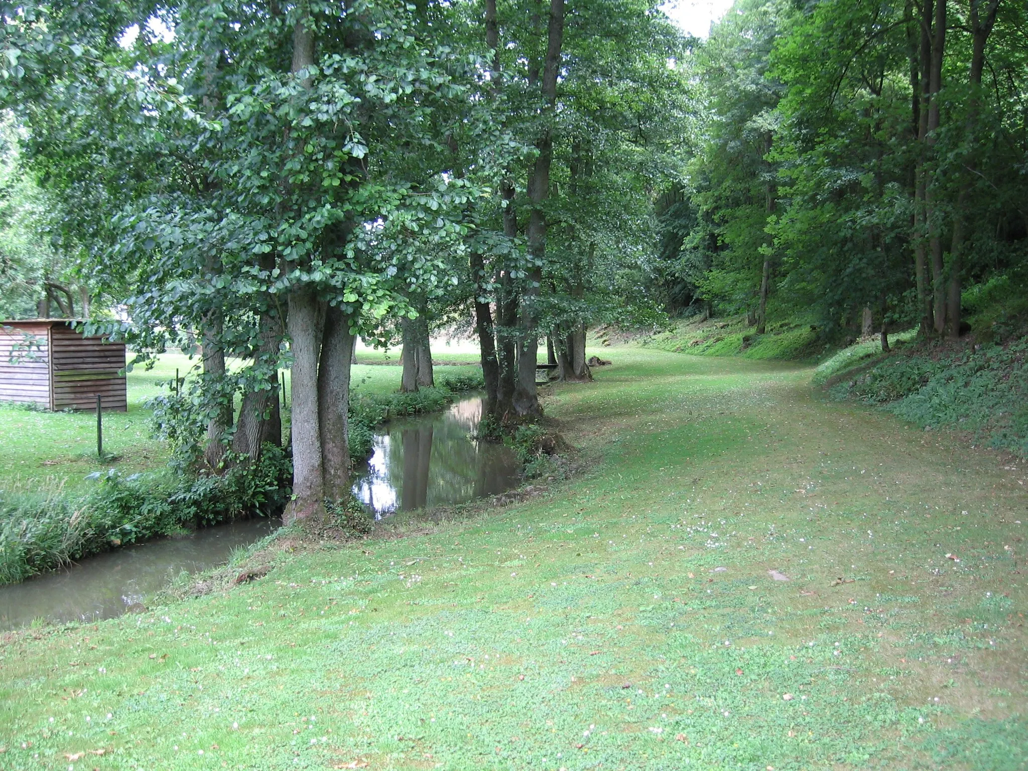 Photo showing: La rivière Burnot, passant à Arbre (Belgique)