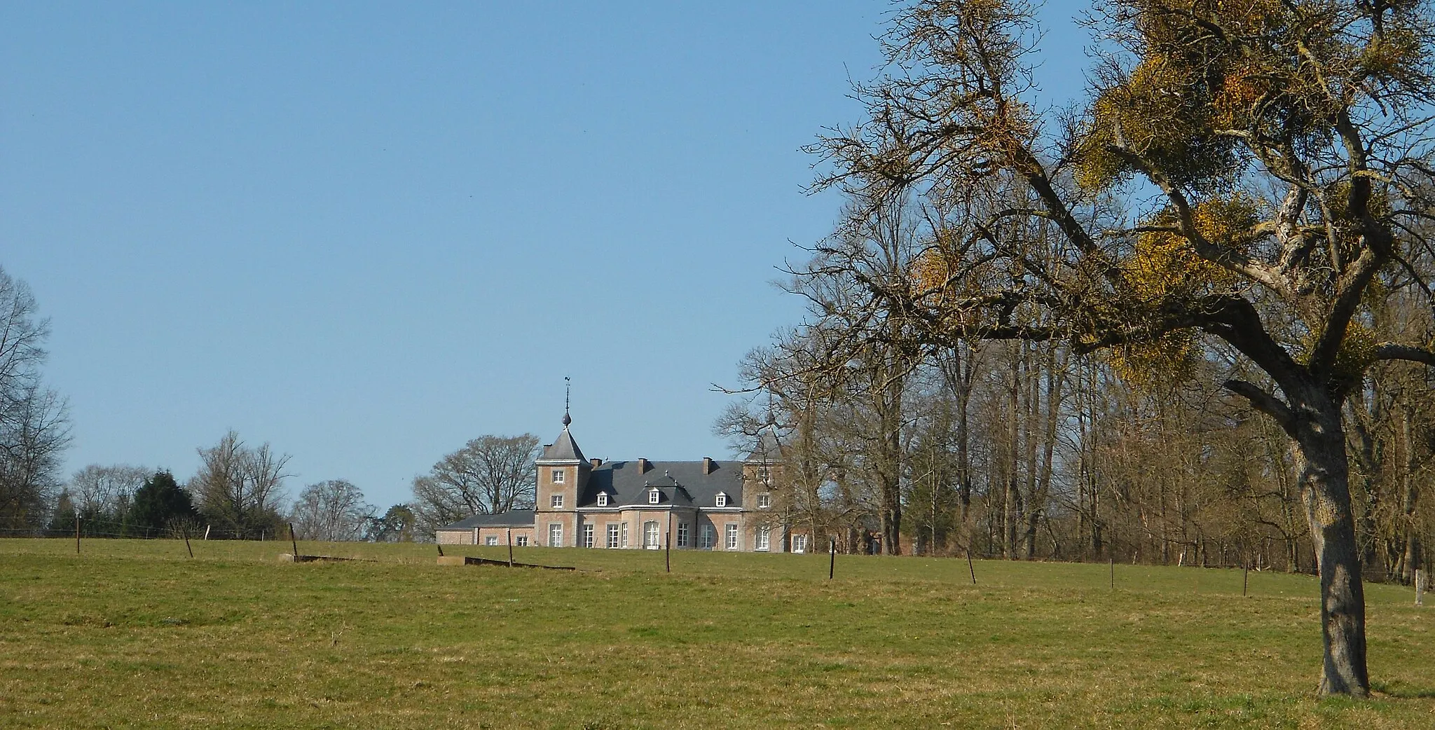 Photo showing: Château de Vien Anthisnes