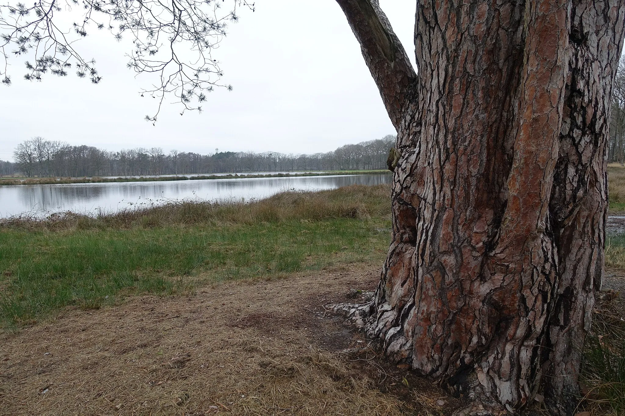 Photo showing: Cascadevijvers Stevoorden Hoefaert natuurreservaat (Eigenbilzen-Gellik)