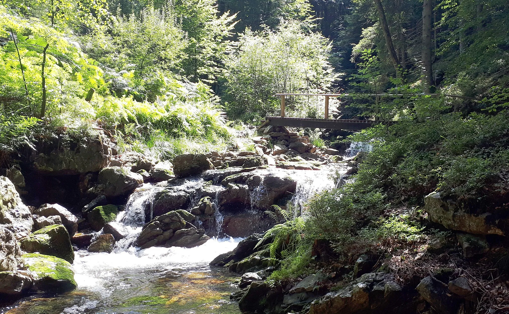 Photo showing: Wasserschnellen der Sawe östlich von Jalhay-Solwaster