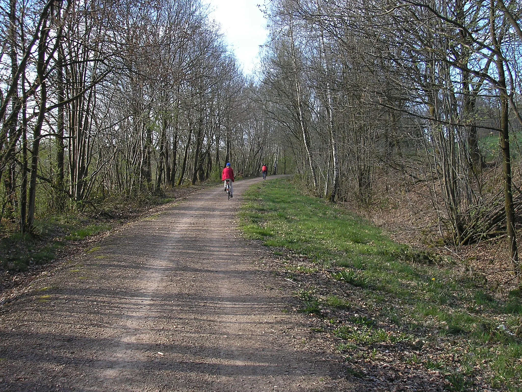 Photo showing: RAVeL in East Belgium near Ondenval, old railwayline