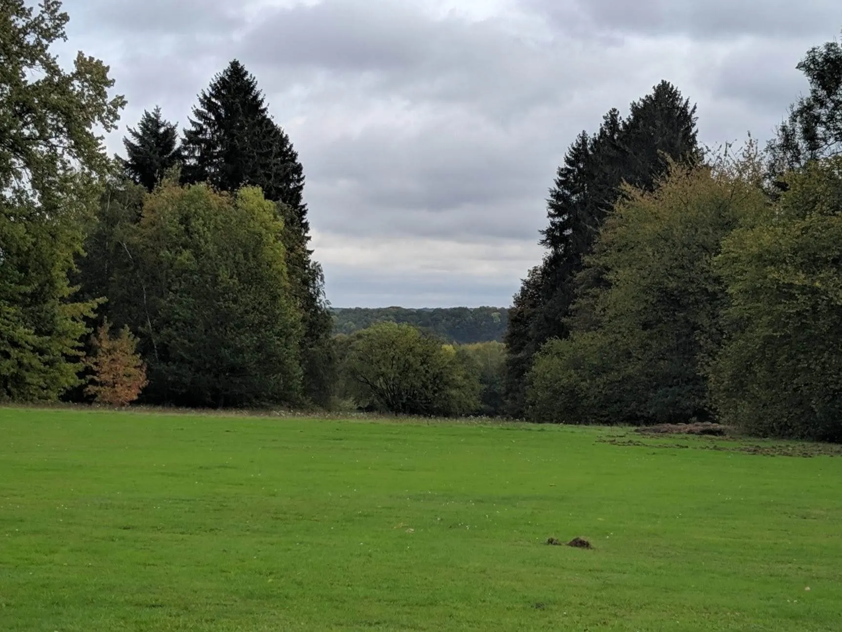 Photo showing: Parc du Rond-Chêne, vu depuis le château.