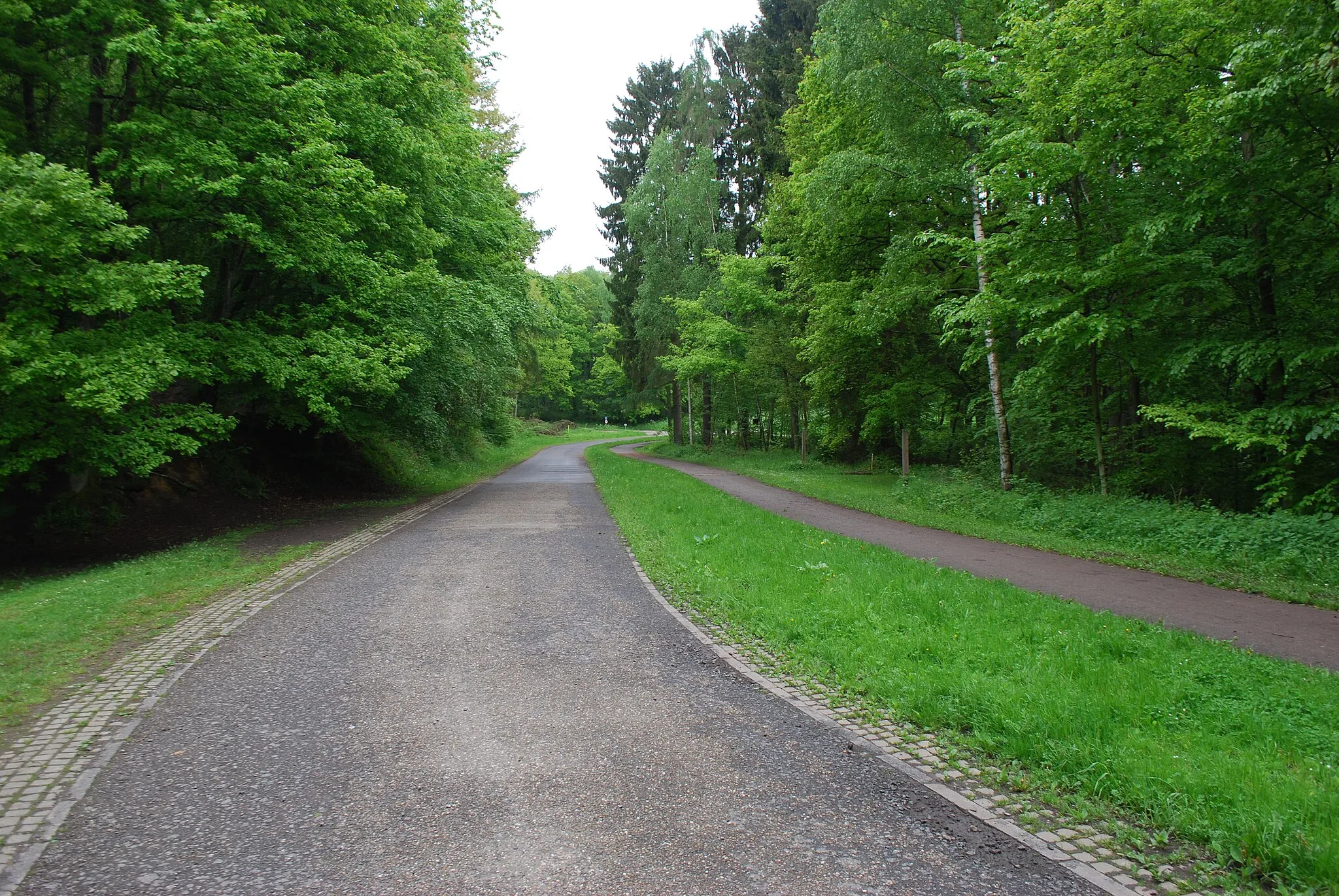 Photo showing: Vue du domaine du Sart Tilman.