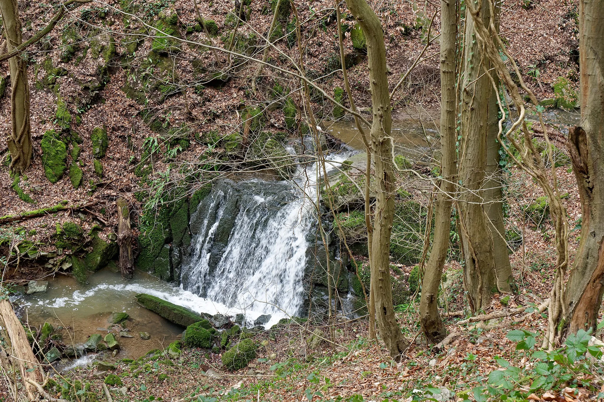 Photo showing: Waterfall of the Chawresse river Tilff - Esneux - Wallonia - Belgium