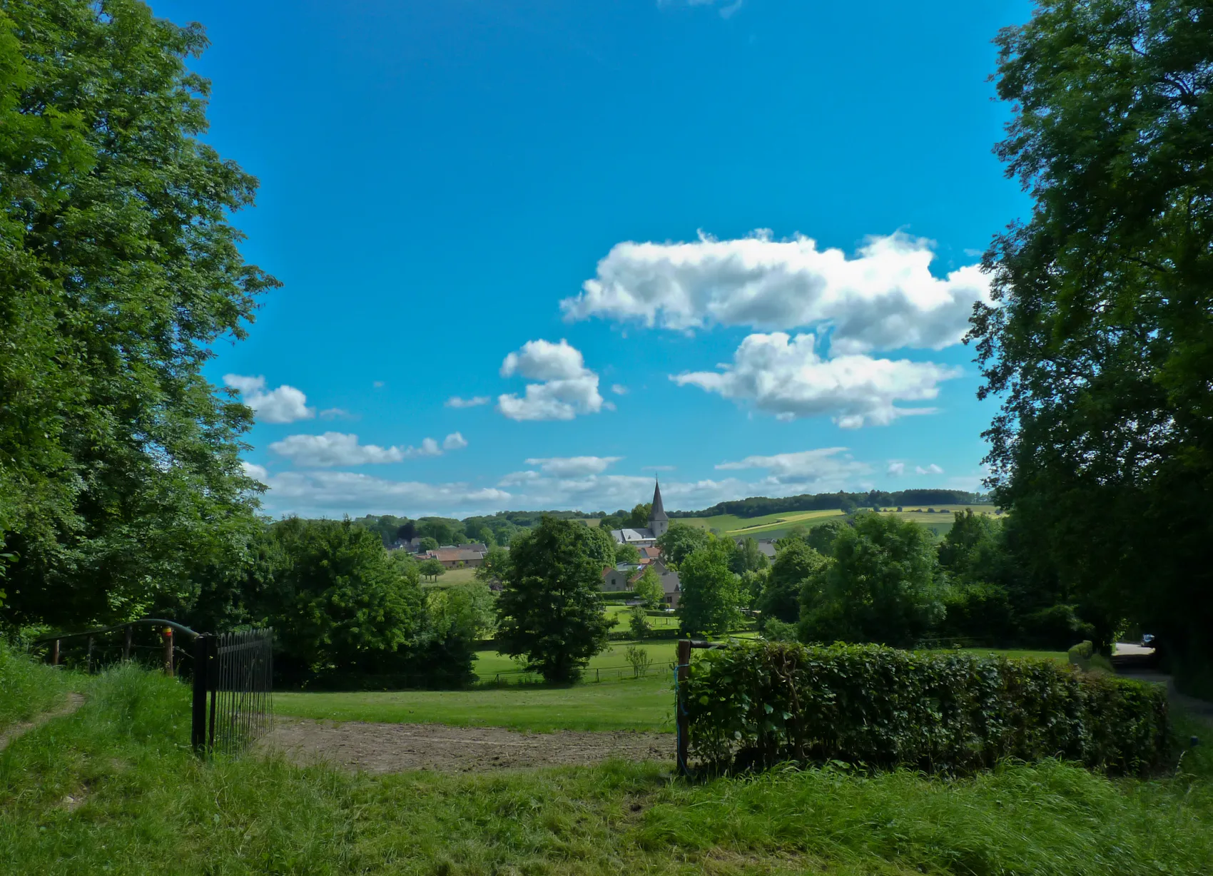 Photo showing: Foto locatie: tussen Bergenhuizen en Wesch