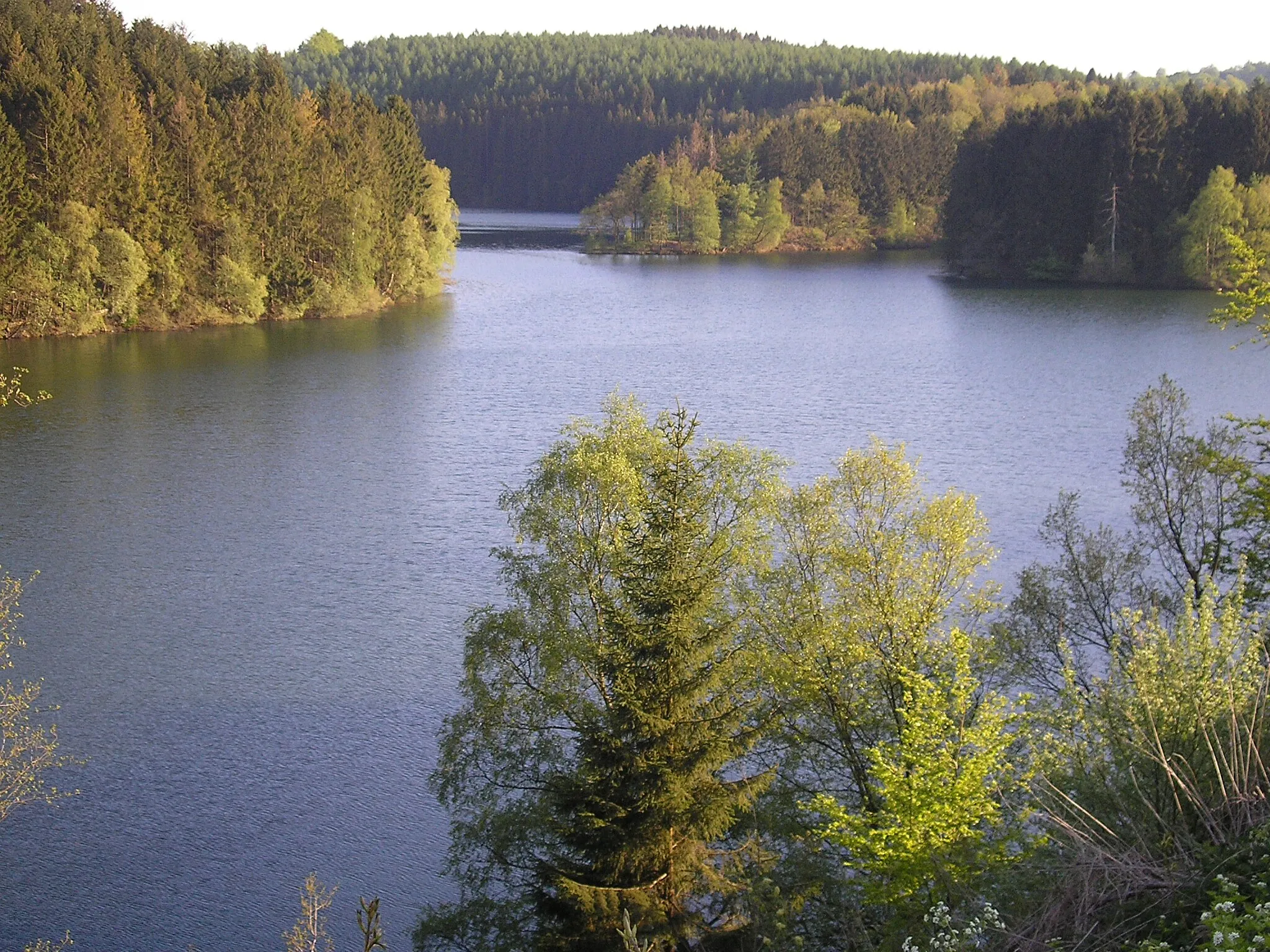 Photo showing: Lac de Robertville, Waimes, East Belgium