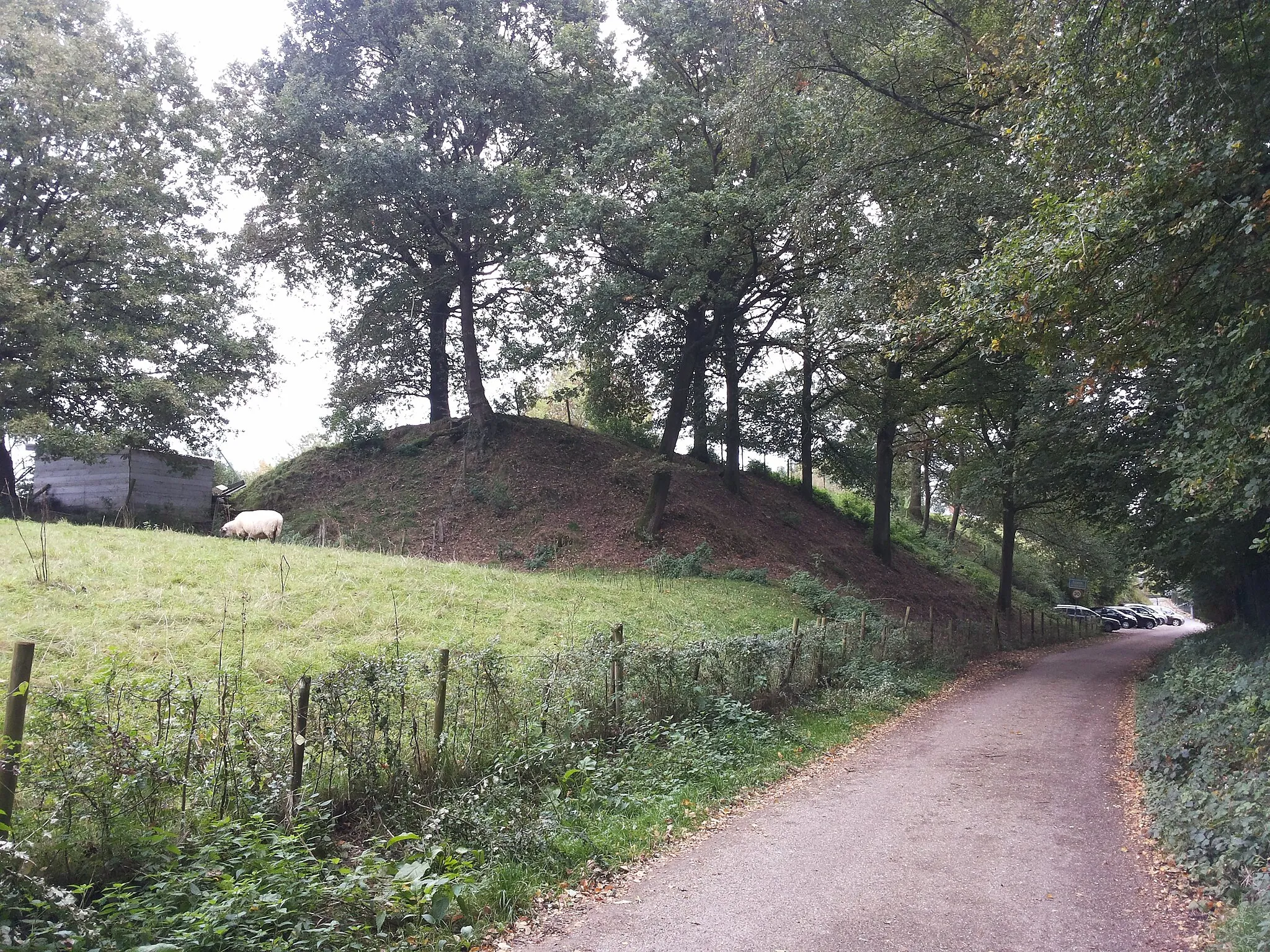 Photo showing: Deels afgegraven talud bij Euverem als onderdeel van de opgeheven tramlijn Maastricht-Vaals, Limburg, Nederland