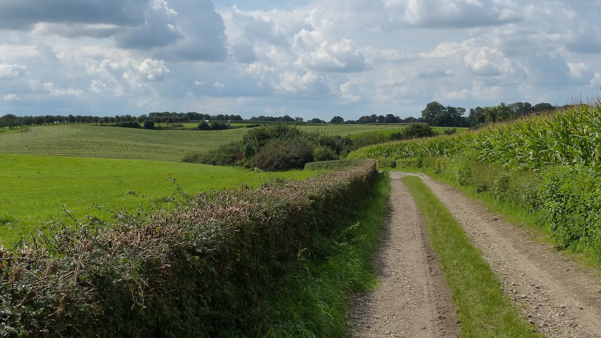 Photo showing: Delweg, Sint-Geertruid