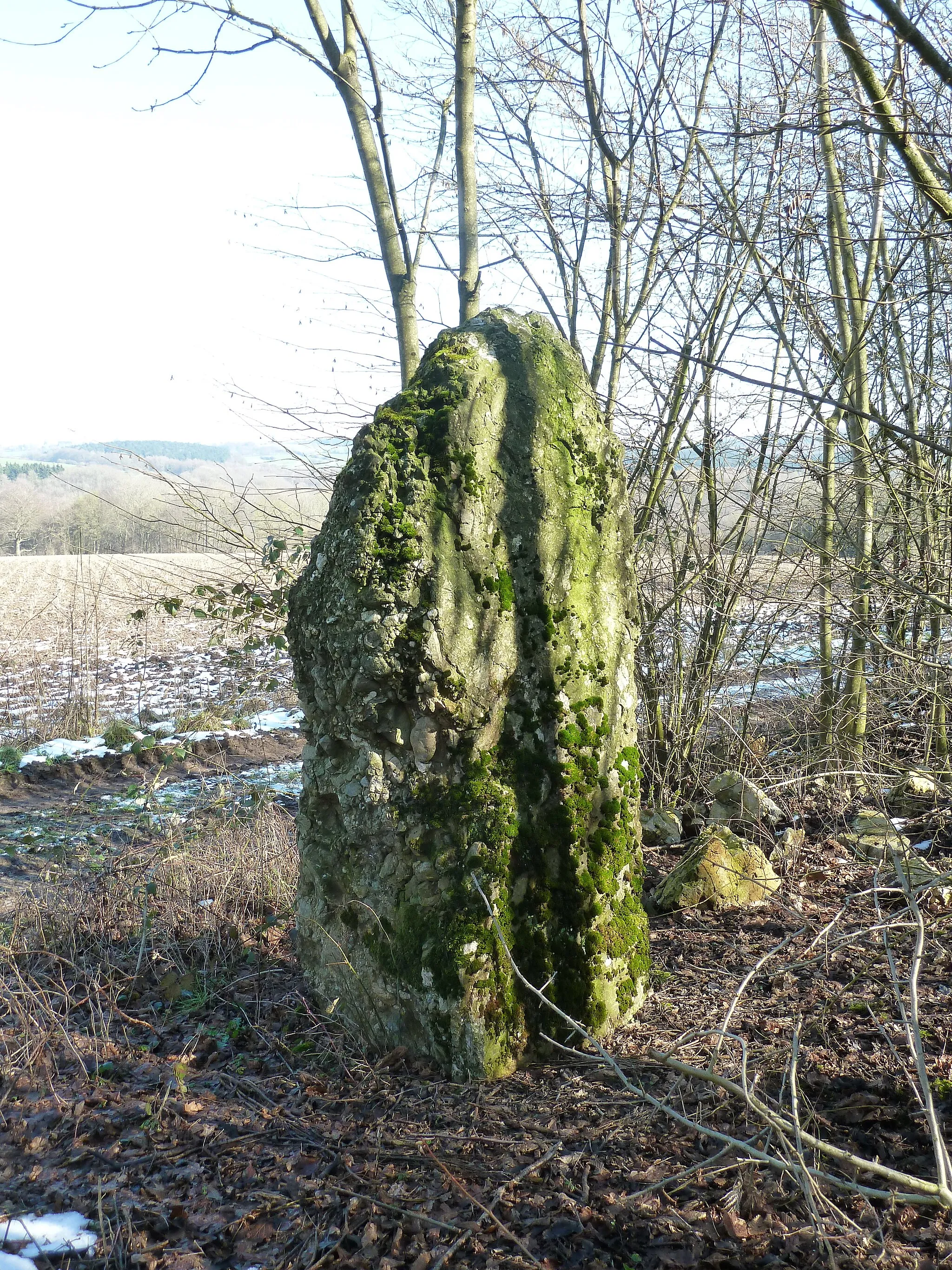 Photo showing: Menhir de Heyd, Wéris area, Durbuy, Belgium