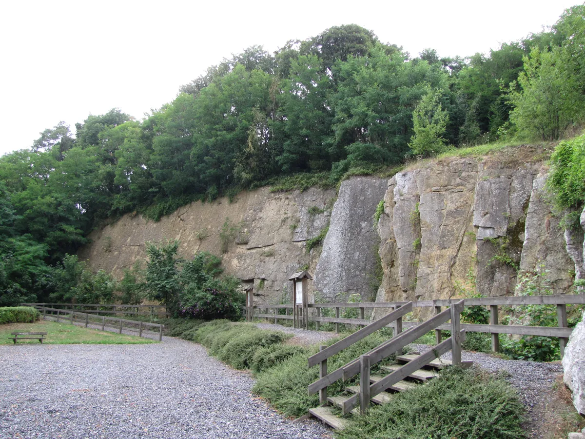 Photo showing: Geological site of Engis, Parc of the Tchafornis, Belgium: oblique rock strata, forming the front of an old quarry for extraction of limestone, are the geological section of a coral reef with Stromatoporoidea dating back over 370 million years.